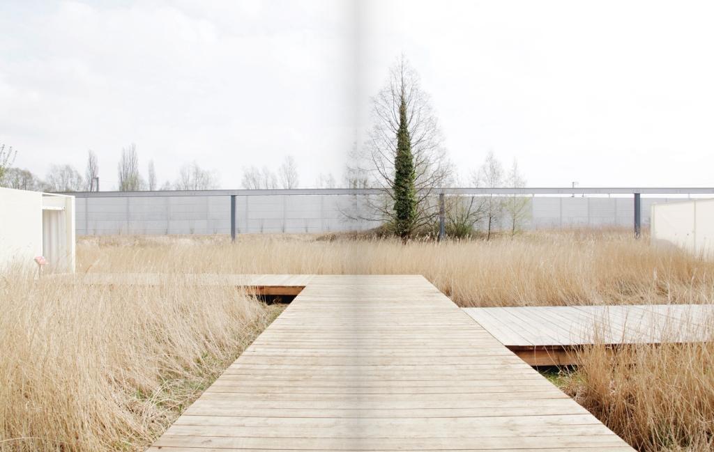 Beispielinhalt (Bild) Stadtliches Grün