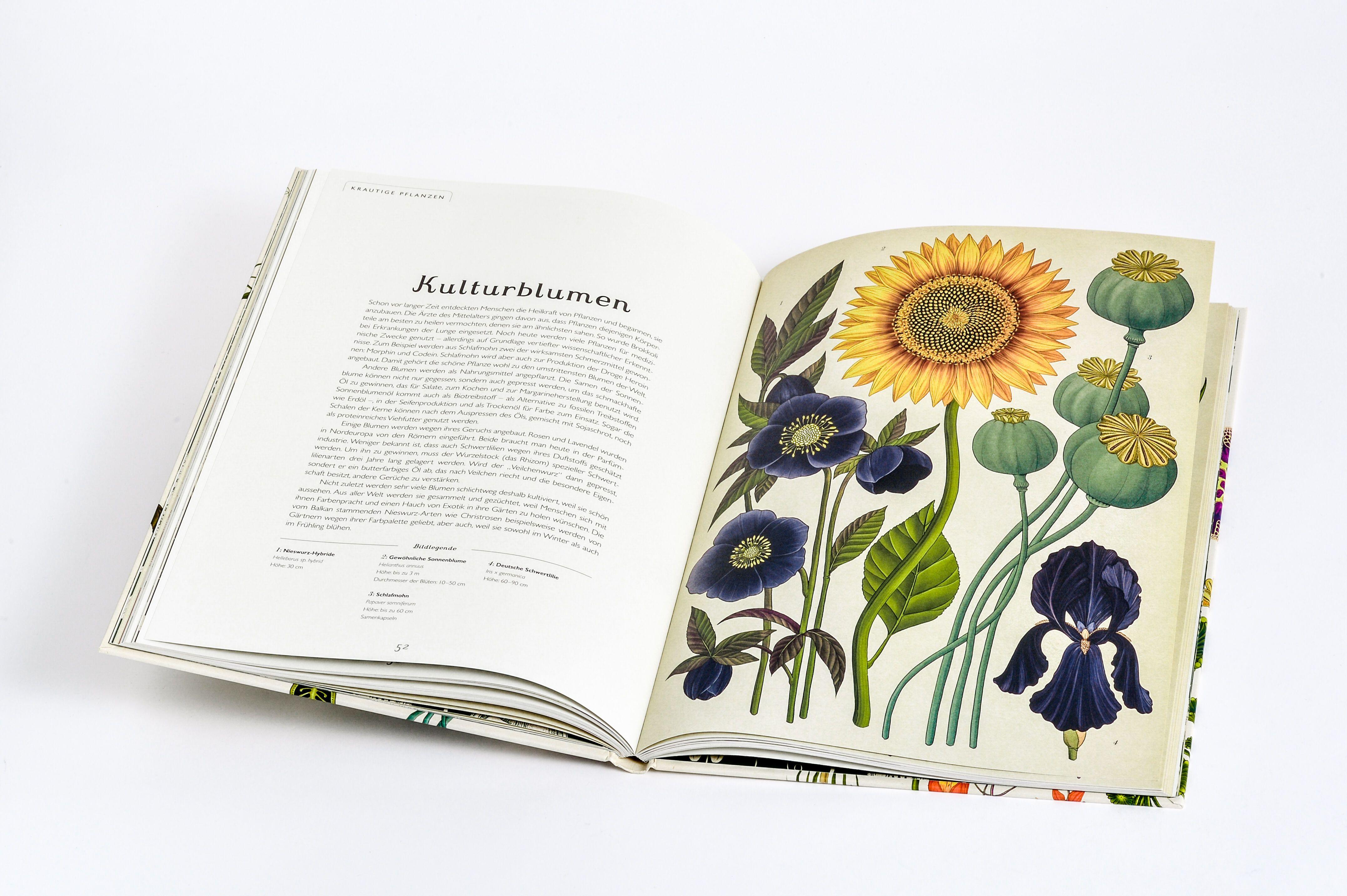 Beispielinhalt (Bild) Das Museum der Pflanzen