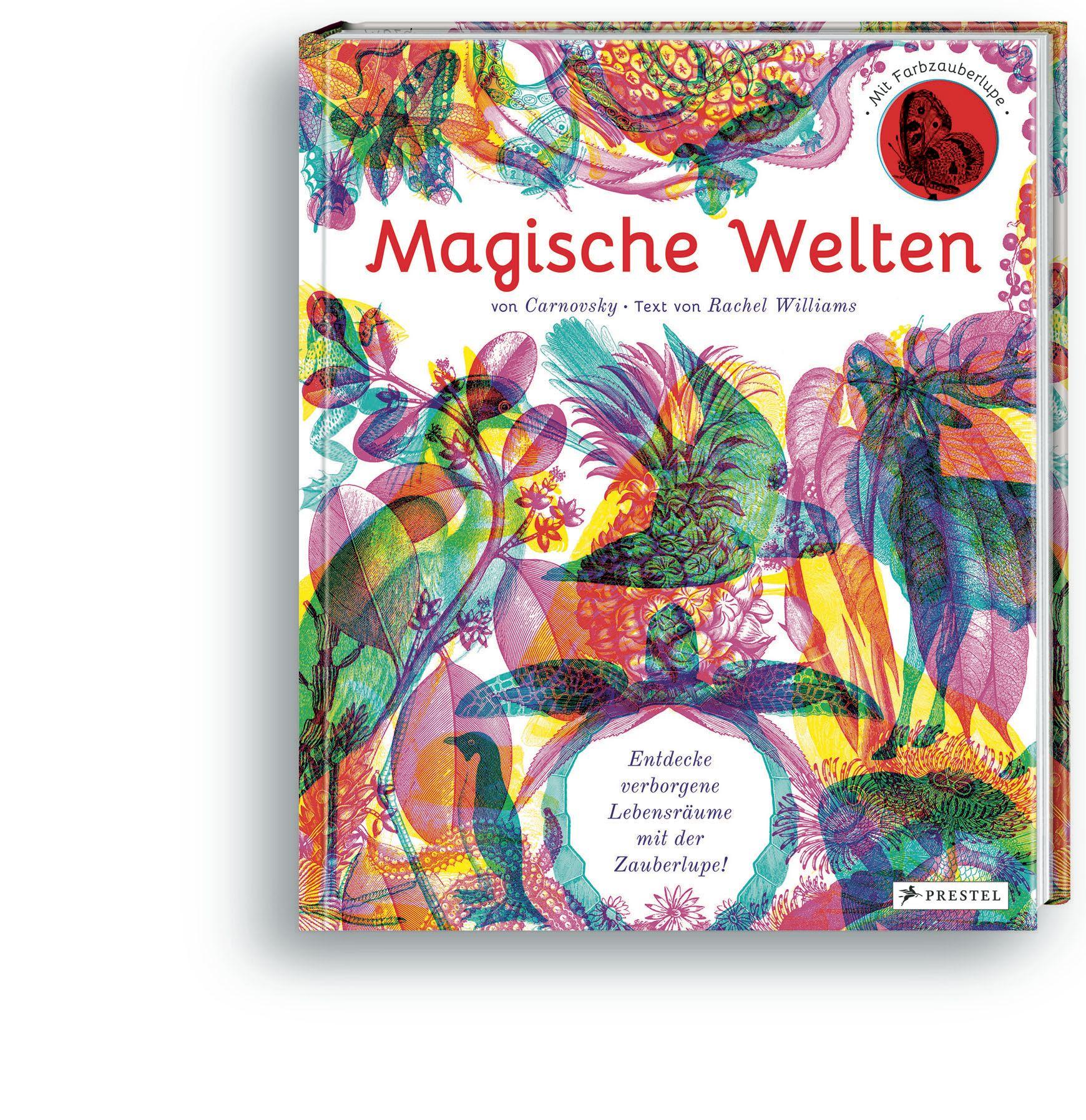 Beispielinhalt (Bild) Magische Welten. Entdecke verborgene Lebensräume mit der Zauberlupe!