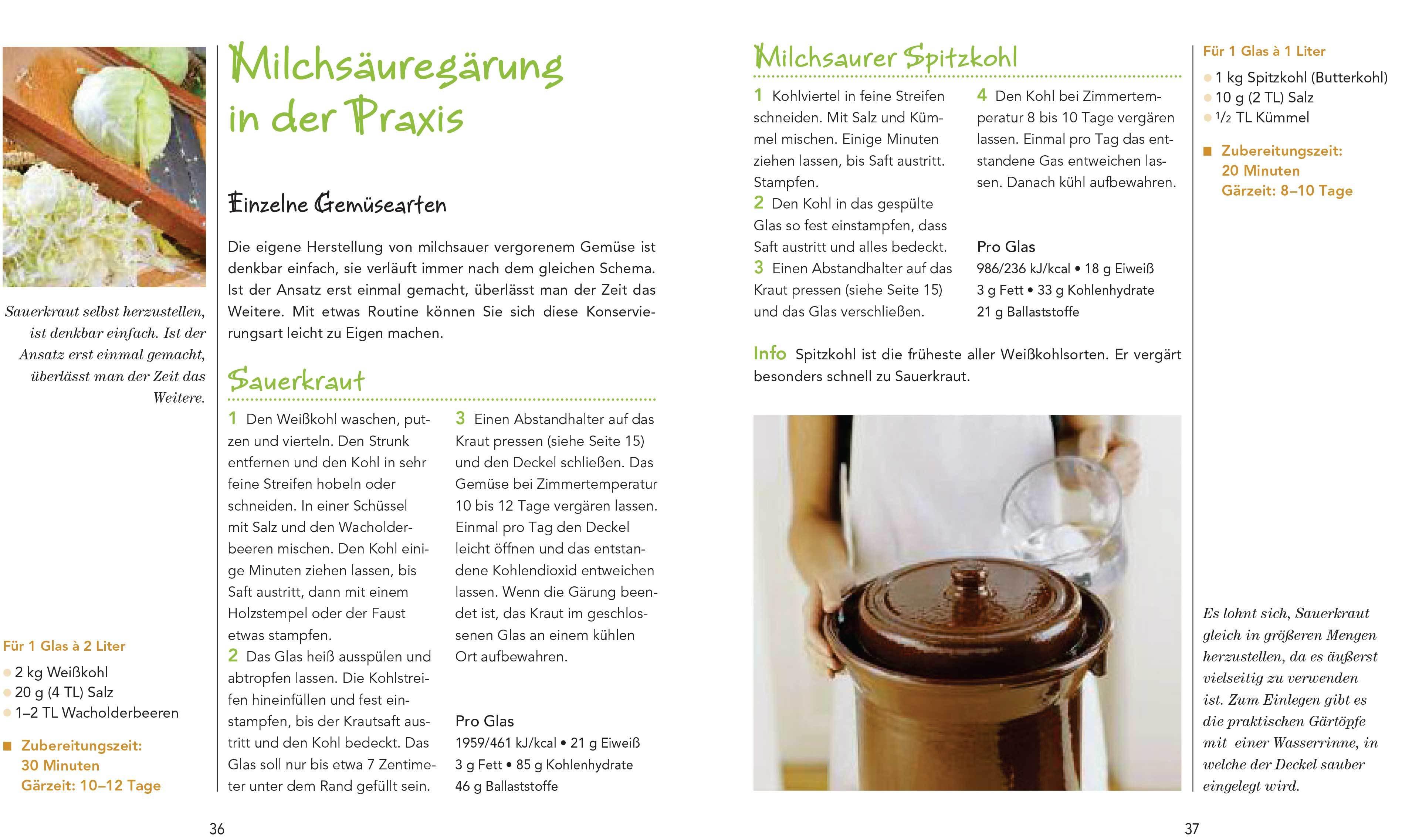 Beispielinhalt (Bild) Gemüse milchsauer eingelegt