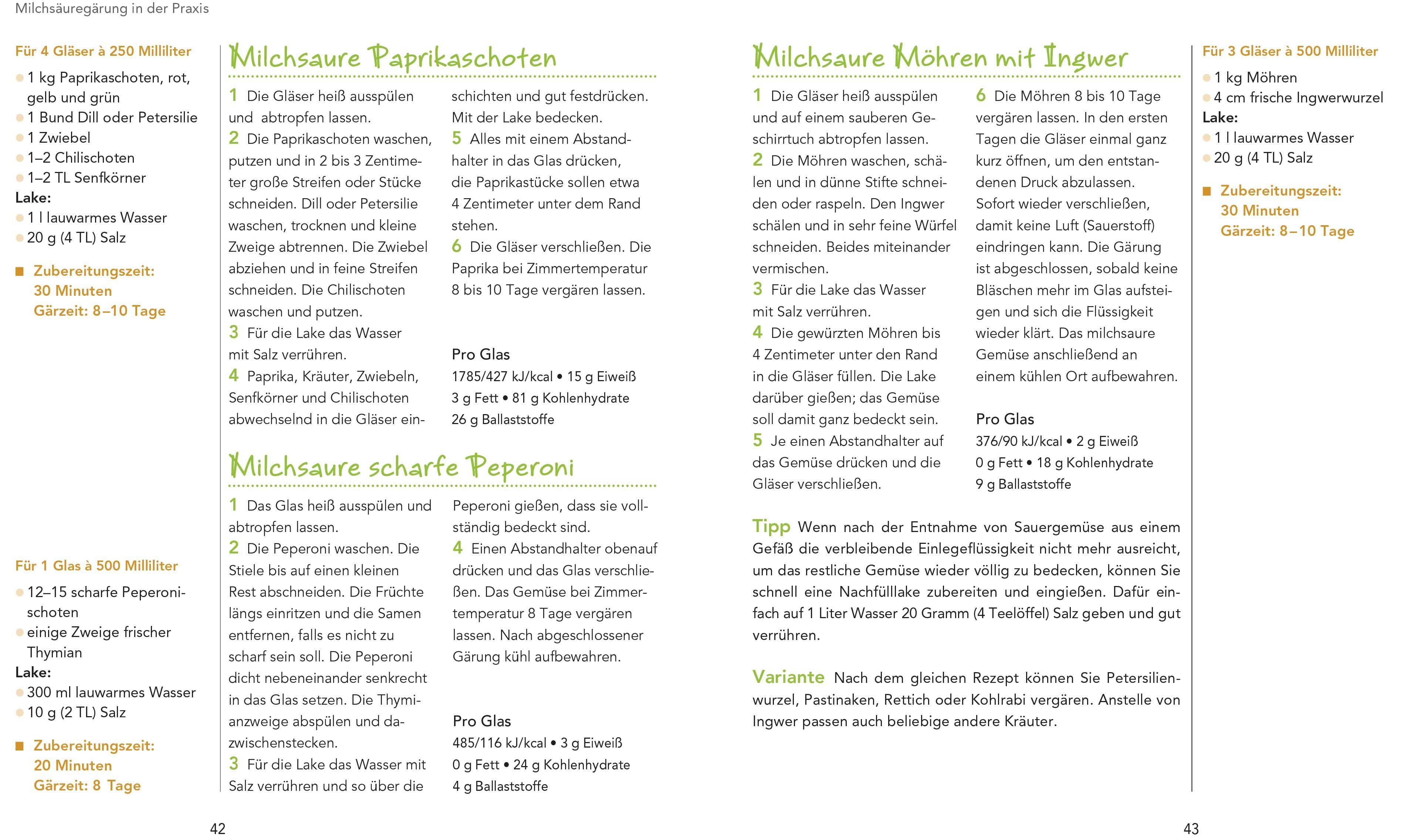 Beispielinhalt (Bild) Gemüse milchsauer eingelegt