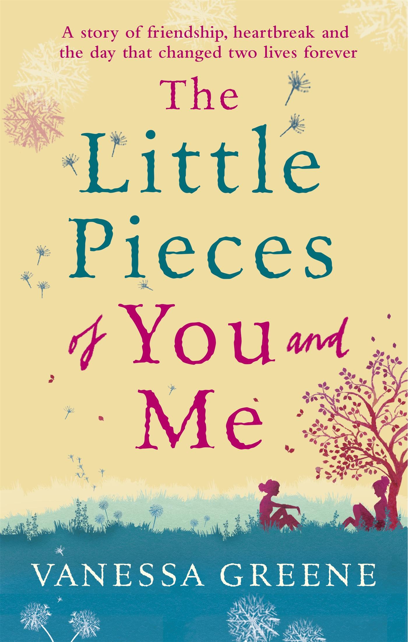 Vorderes Coverbild The Little Pieces of You and Me