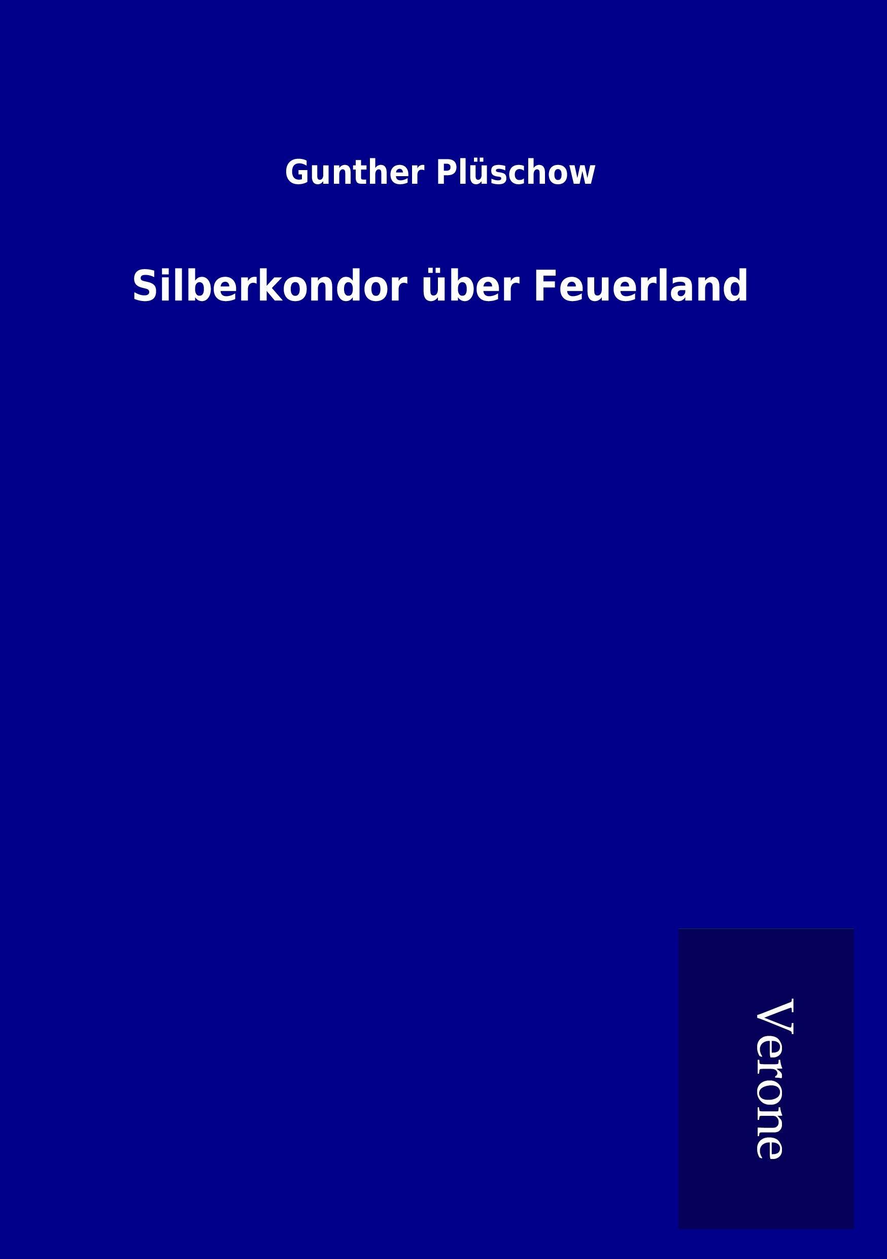 Vorderes Coverbild Silberkondor über Feuerland