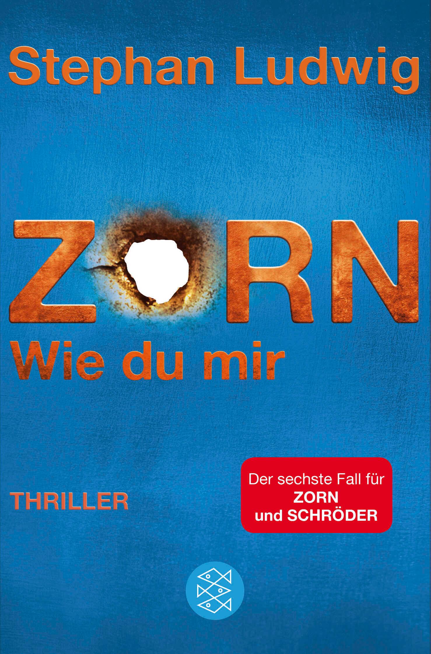 Vorderes Coverbild Zorn - Wie du mir
