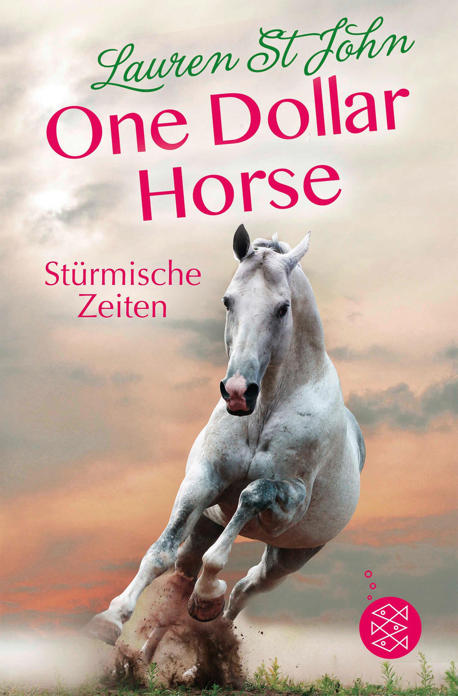 Vorderes Coverbild One Dollar Horse, Band 3 - Stürmische Zeiten