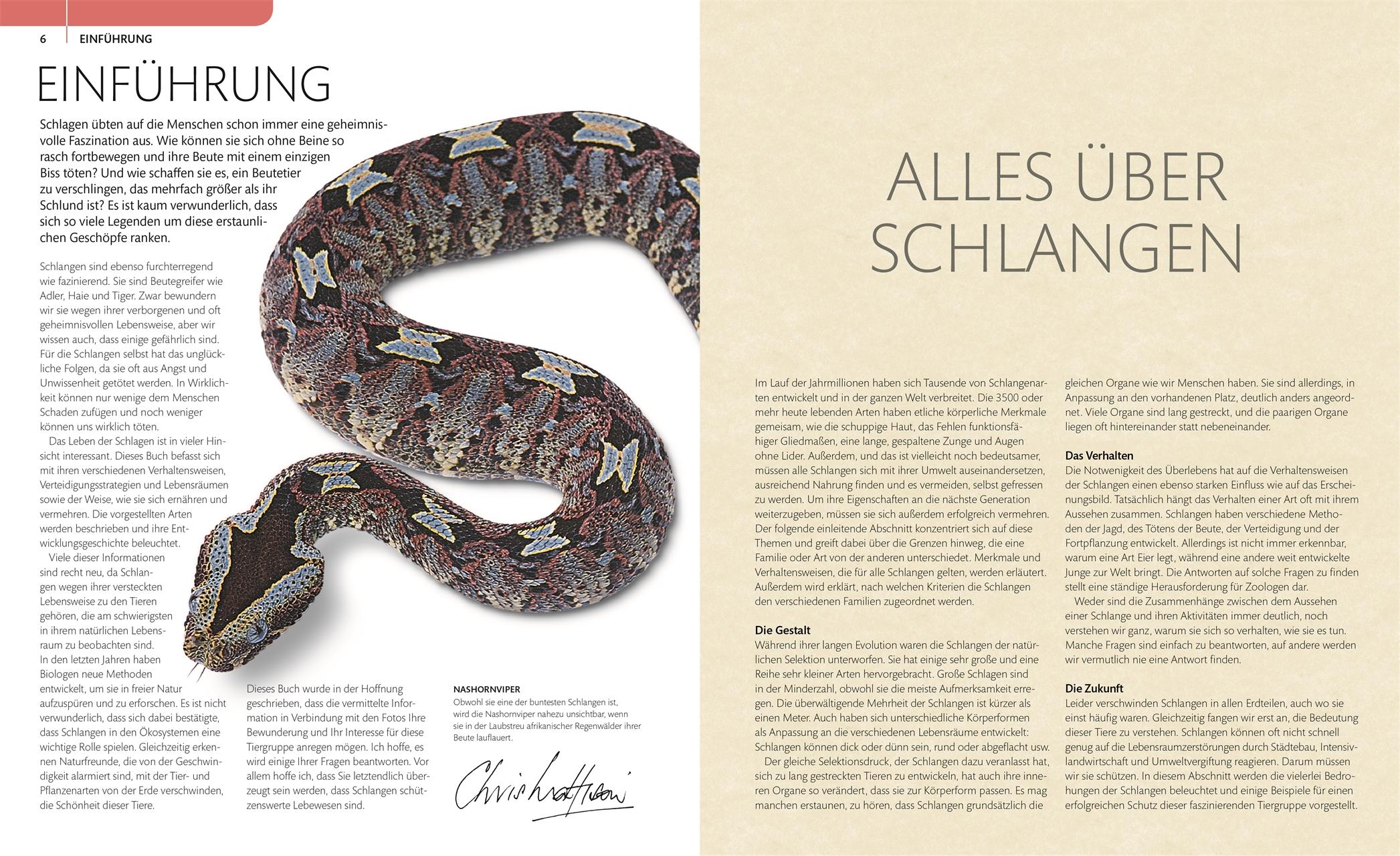Beispielinhalt (Bild) Schlangen