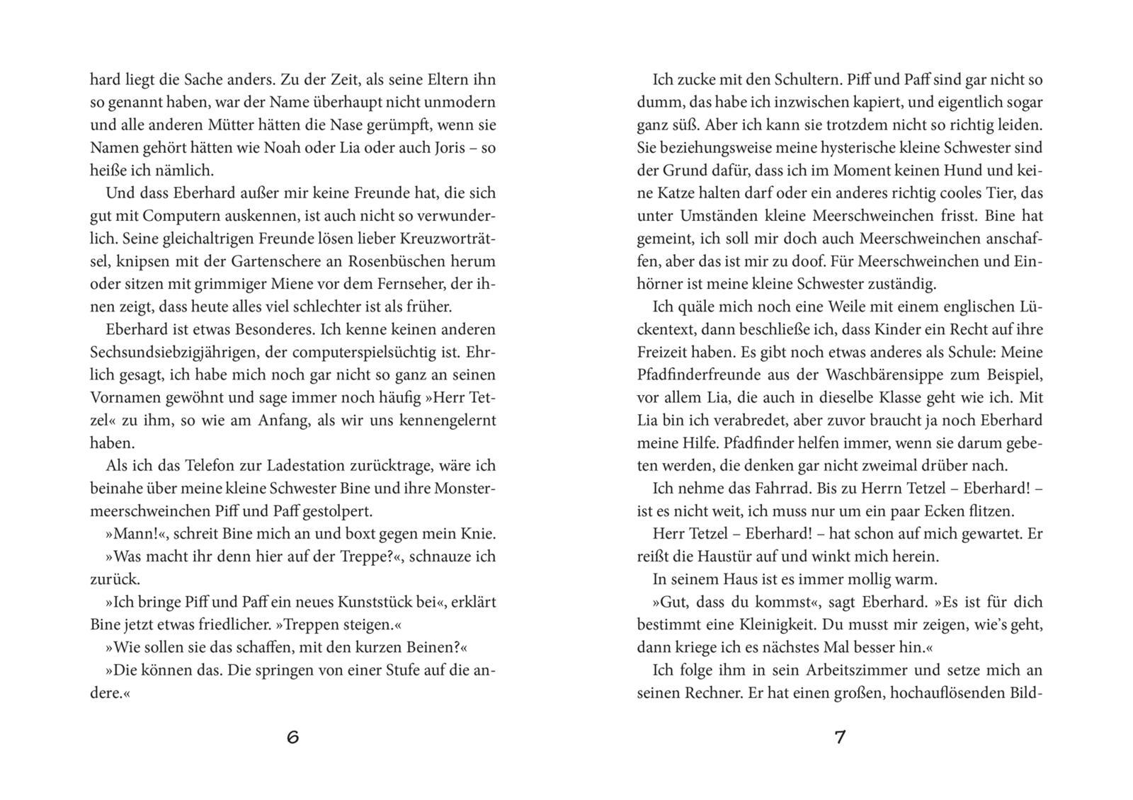 Beispielinhalt (Bild) Die Waschbärensippe, Unser Zeltlagerabenteuer