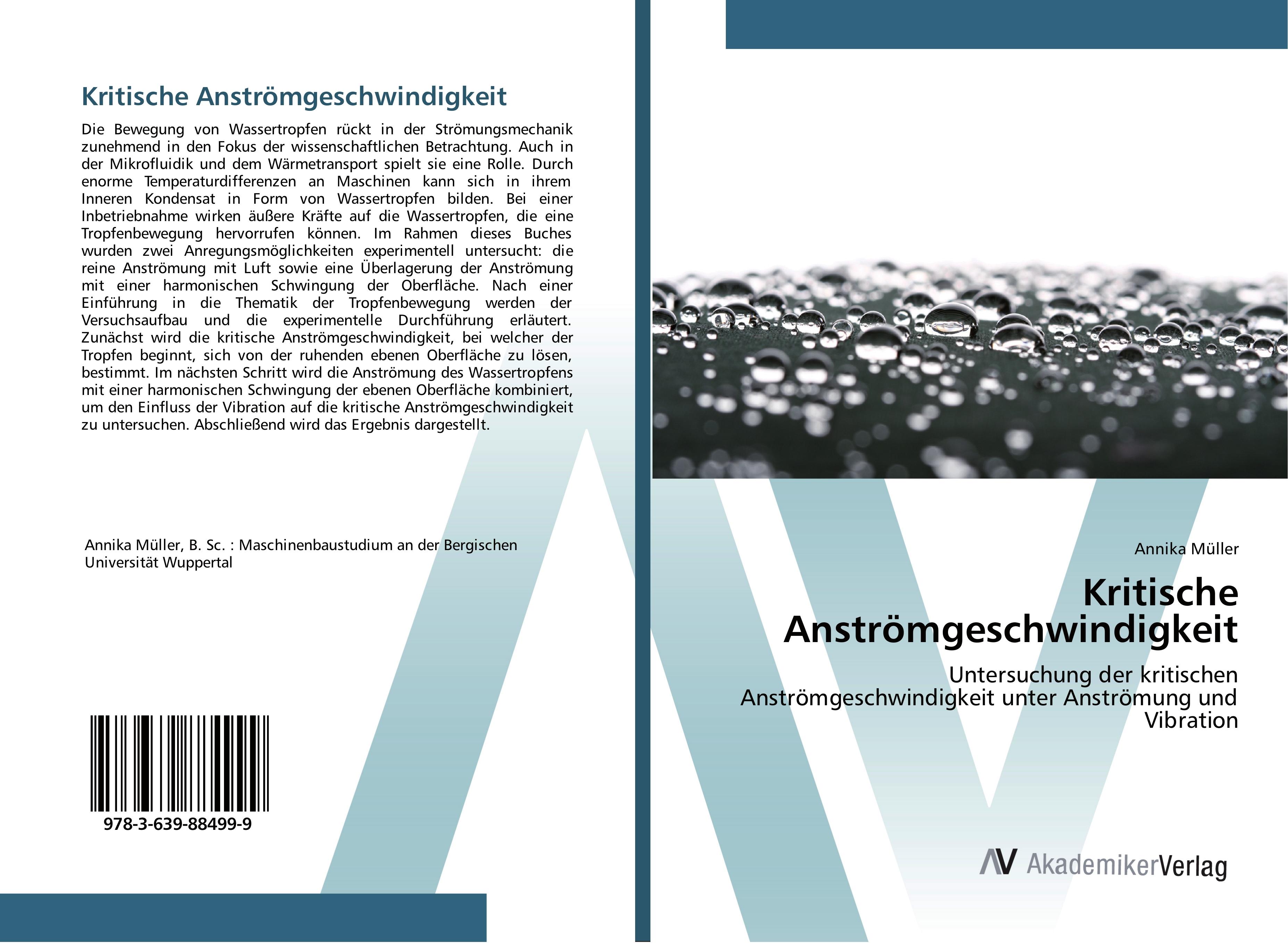 Vorderes Coverbild Kritische Anströmgeschwindigkeit