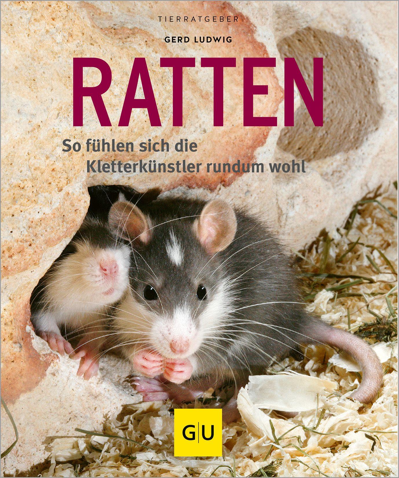 Vorderes Coverbild Ratten