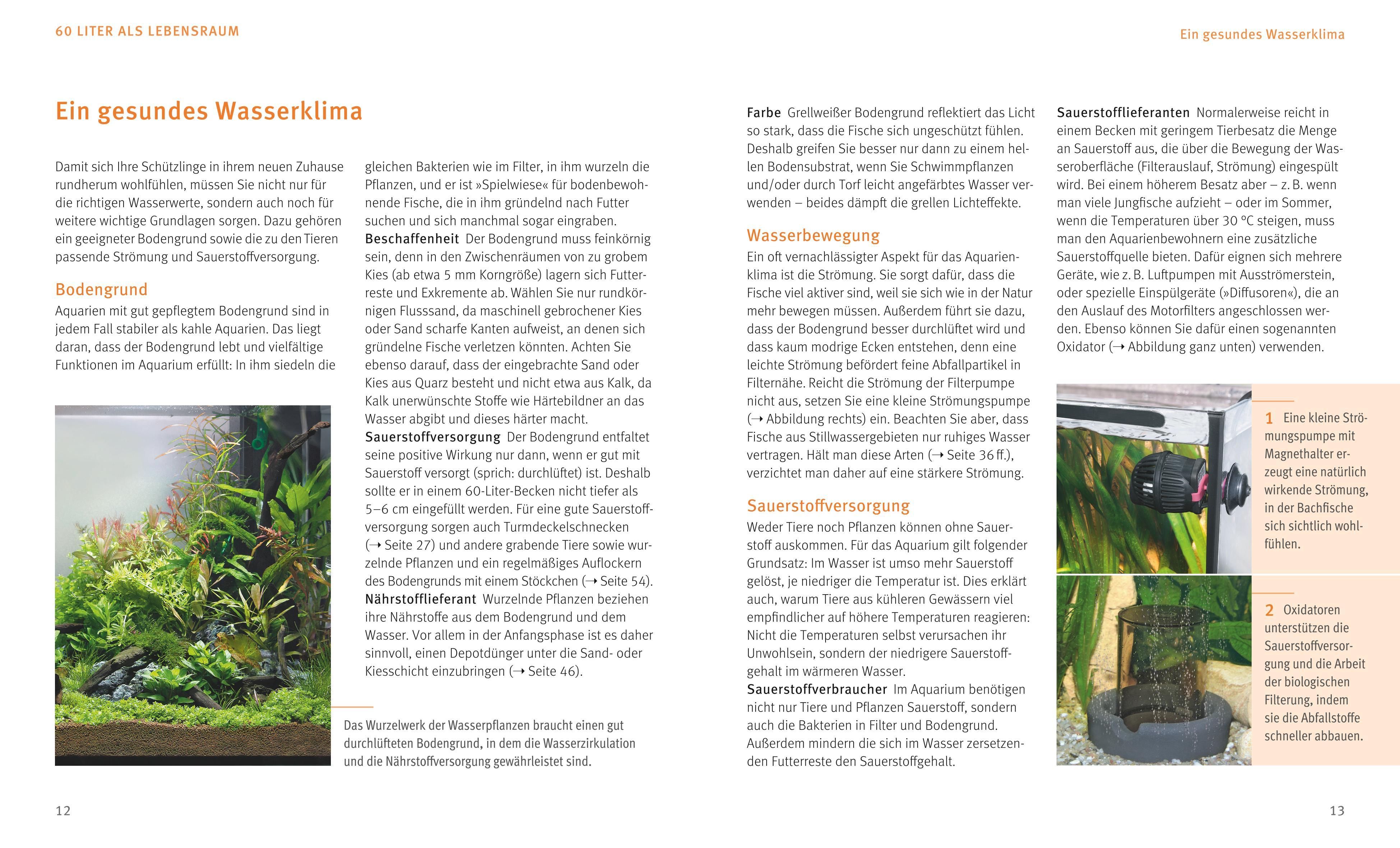 Beispielinhalt (Bild) Kleine Aquarien