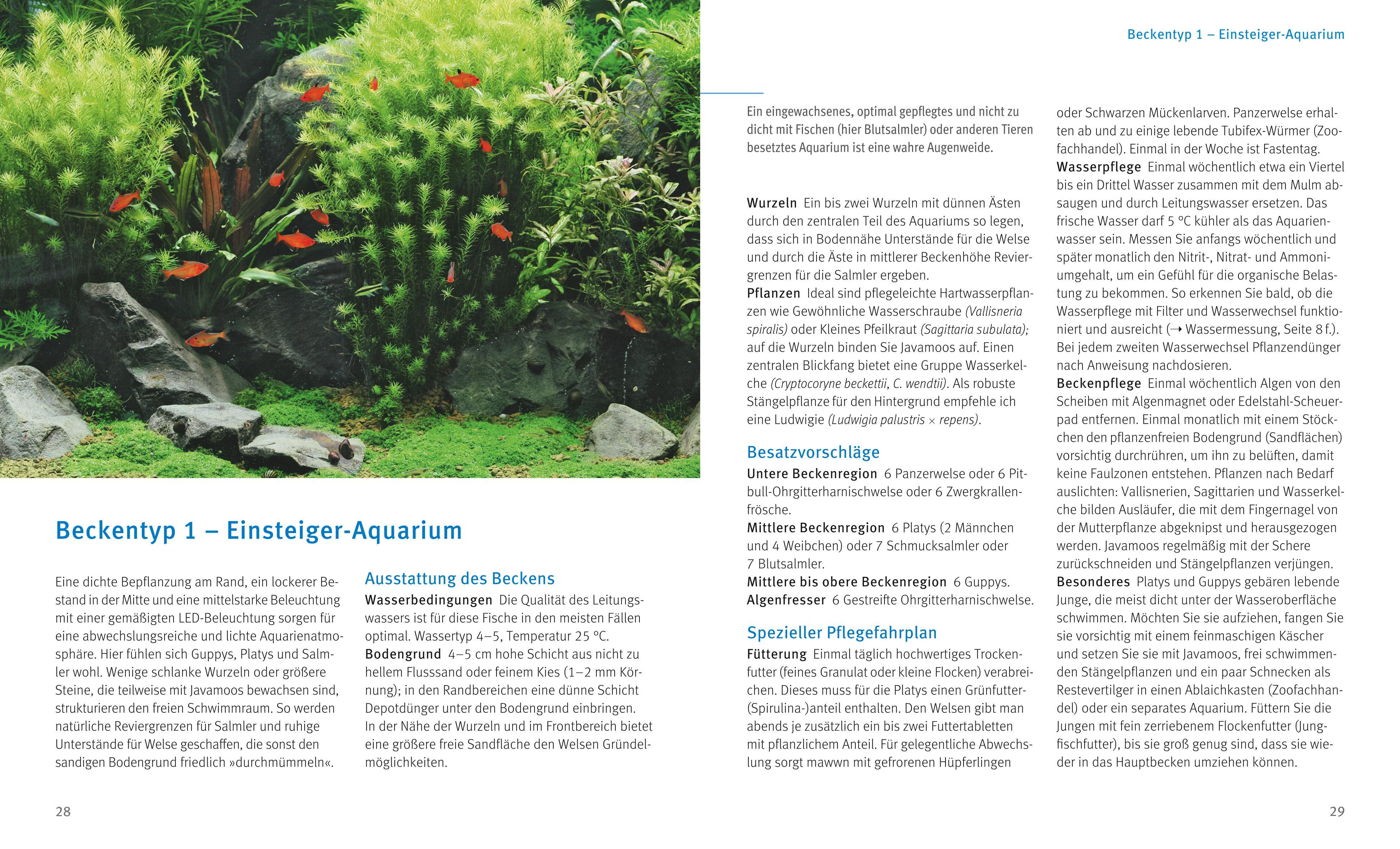 Beispielinhalt (Bild) Kleine Aquarien