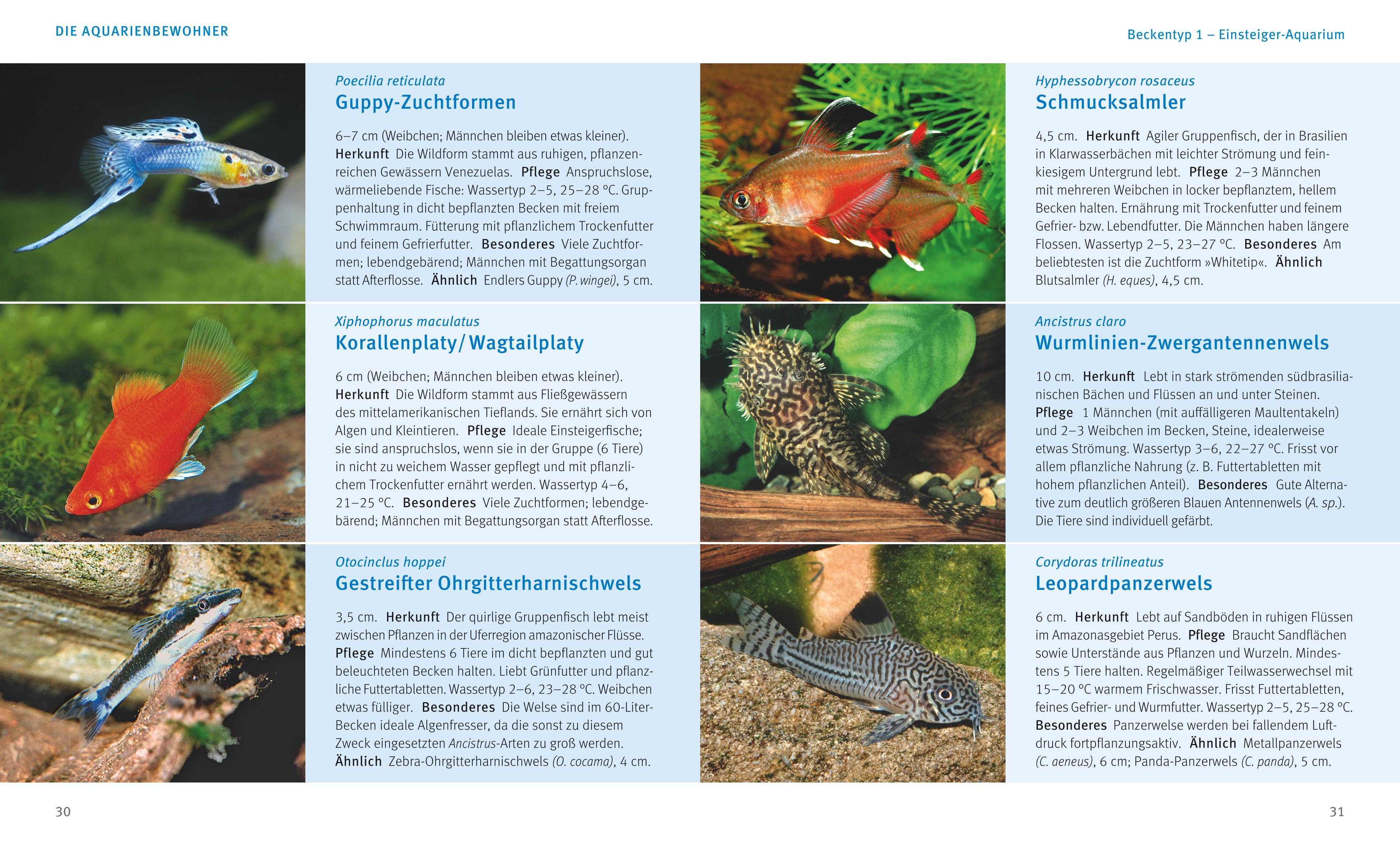 Beispielinhalt (Bild) Kleine Aquarien