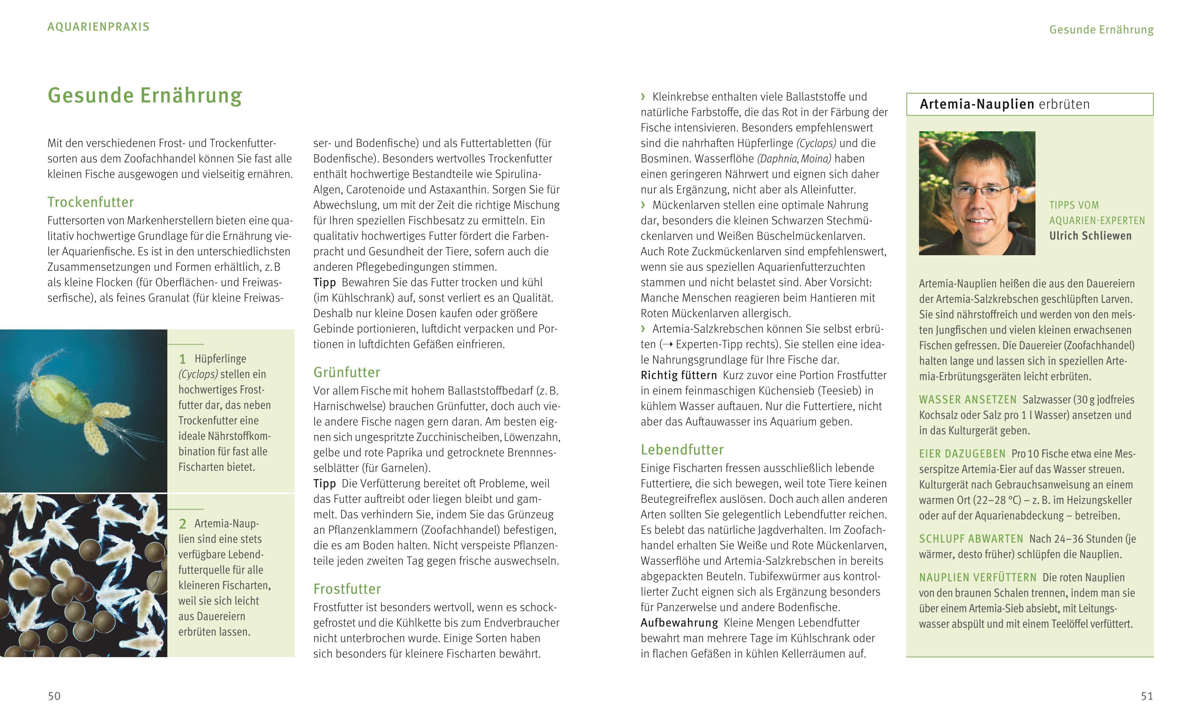 Beispielinhalt (Bild) Kleine Aquarien