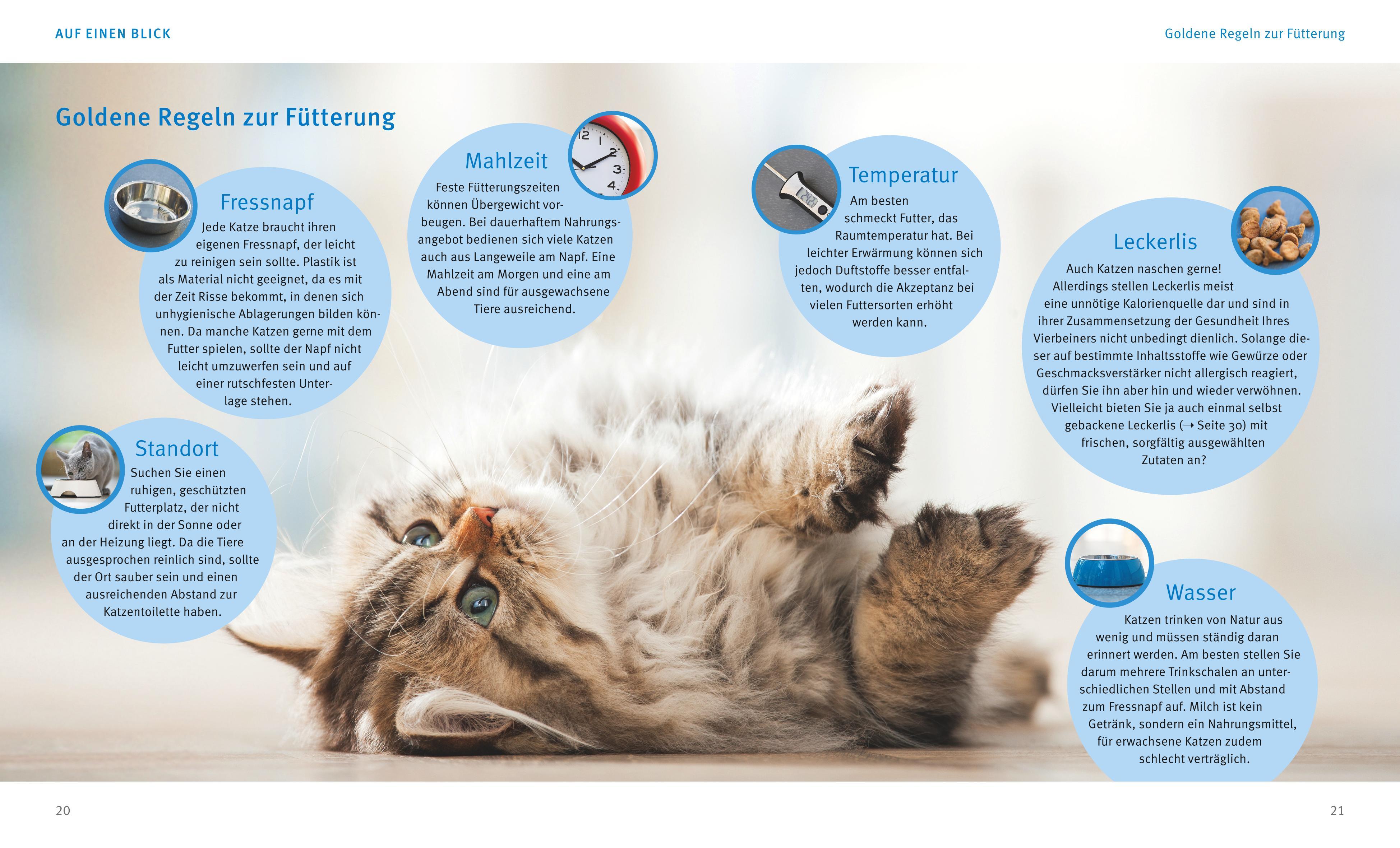 Beispielinhalt (Bild) Katzen gesund ernähren