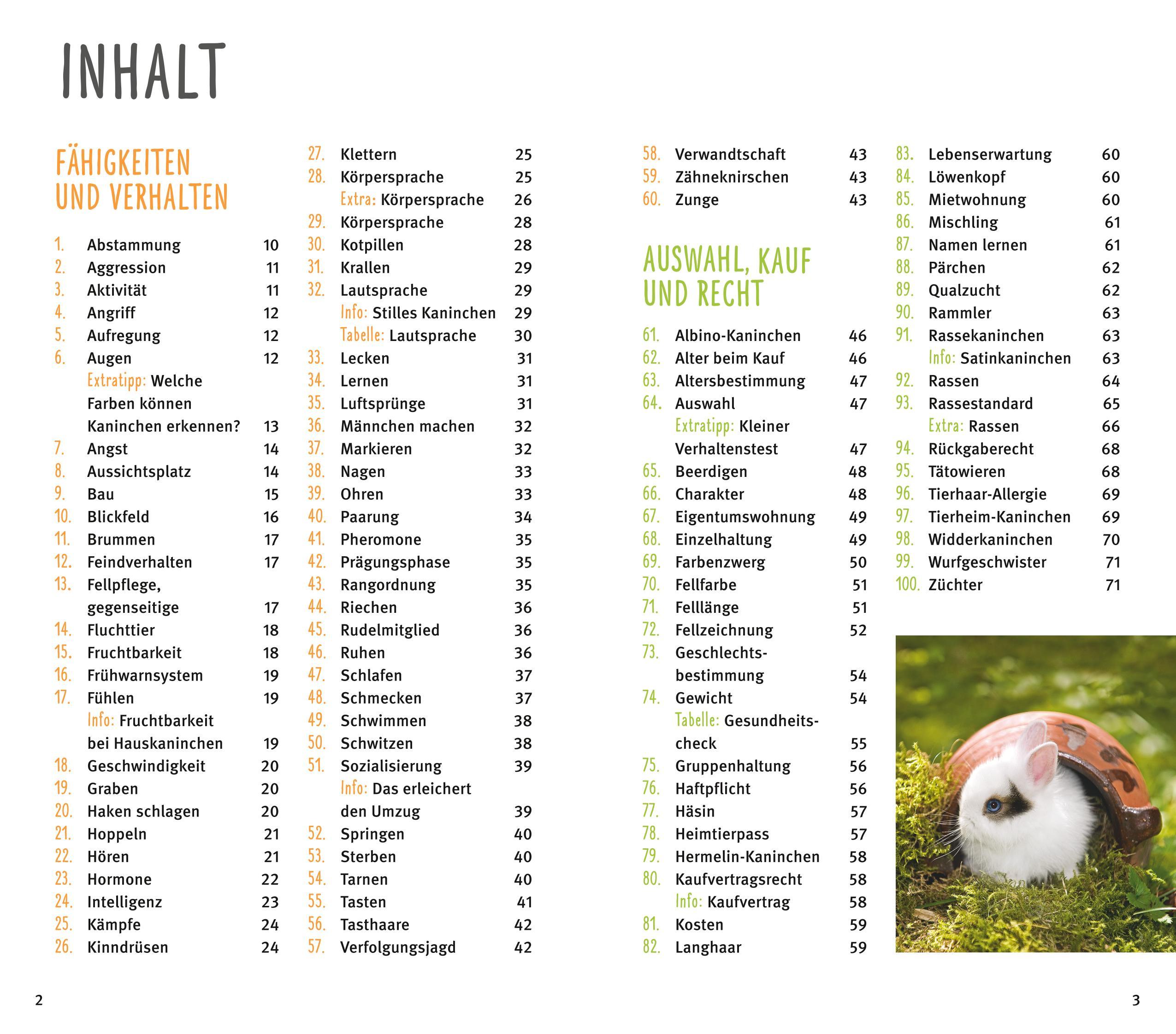 Beispielinhalt (Bild) 300 Fragen zum Zwergkaninchen