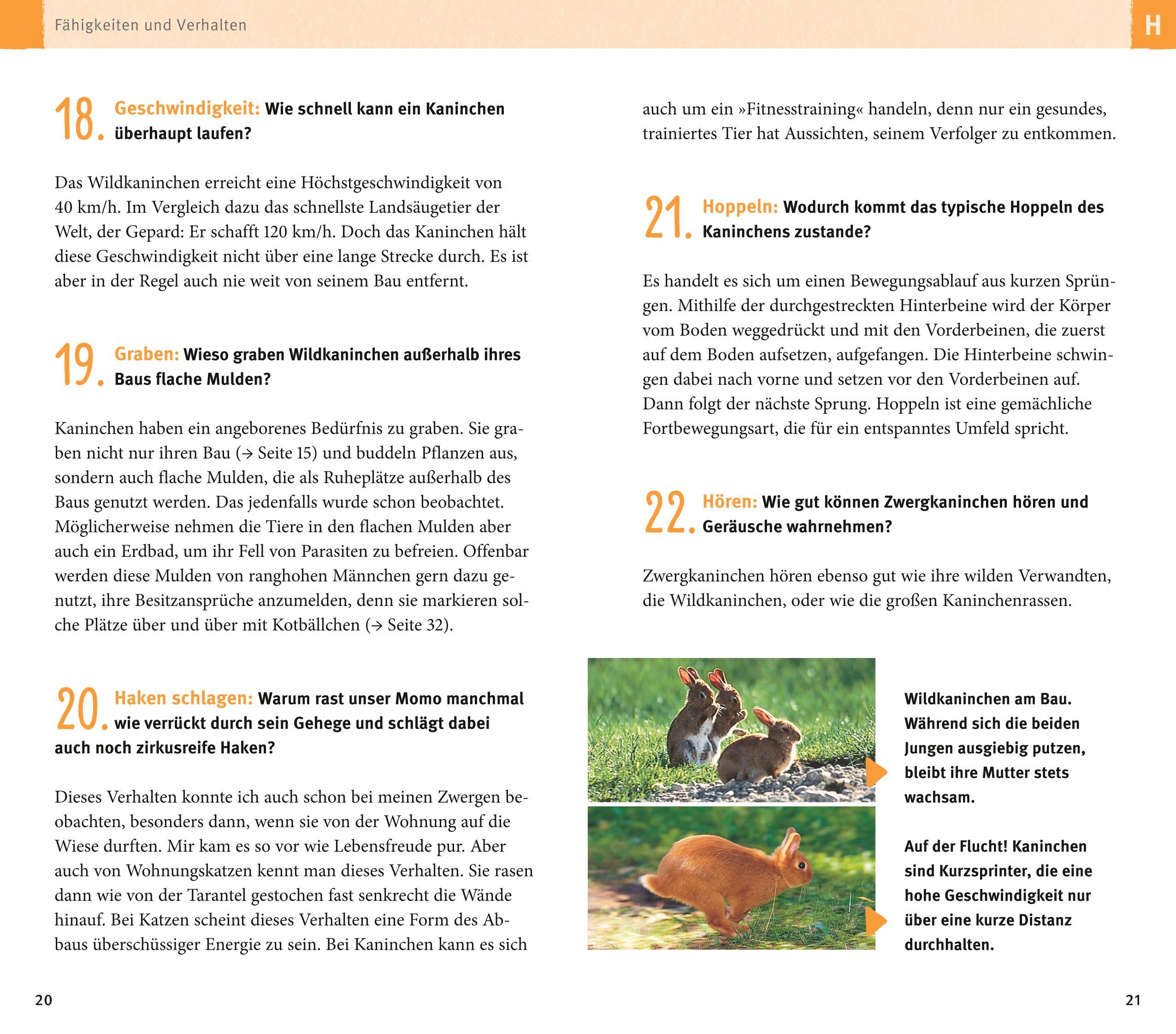 Beispielinhalt (Bild) 300 Fragen zum Zwergkaninchen