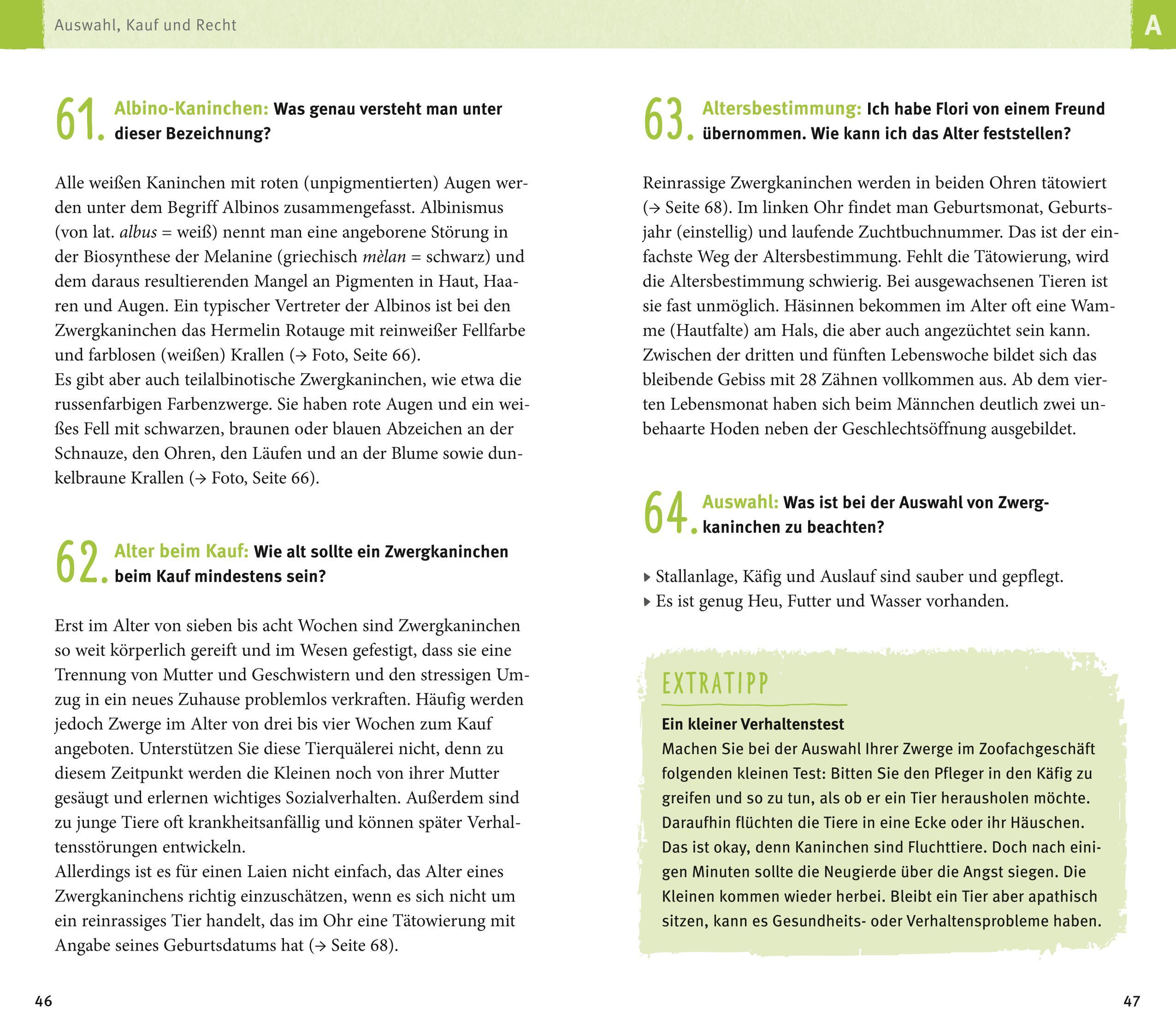 Beispielinhalt (Bild) 300 Fragen zum Zwergkaninchen