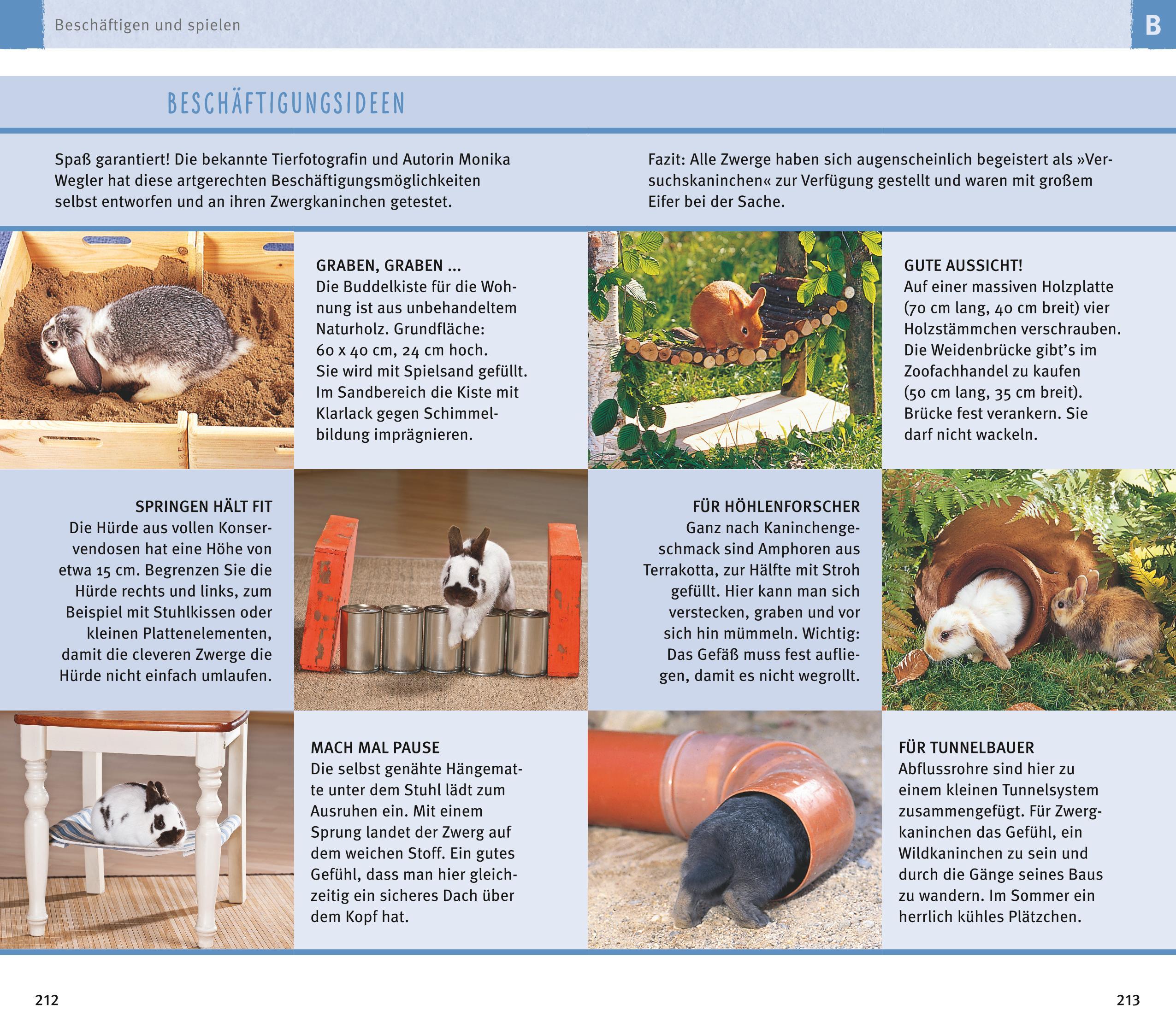 Beispielinhalt (Bild) 300 Fragen zum Zwergkaninchen
