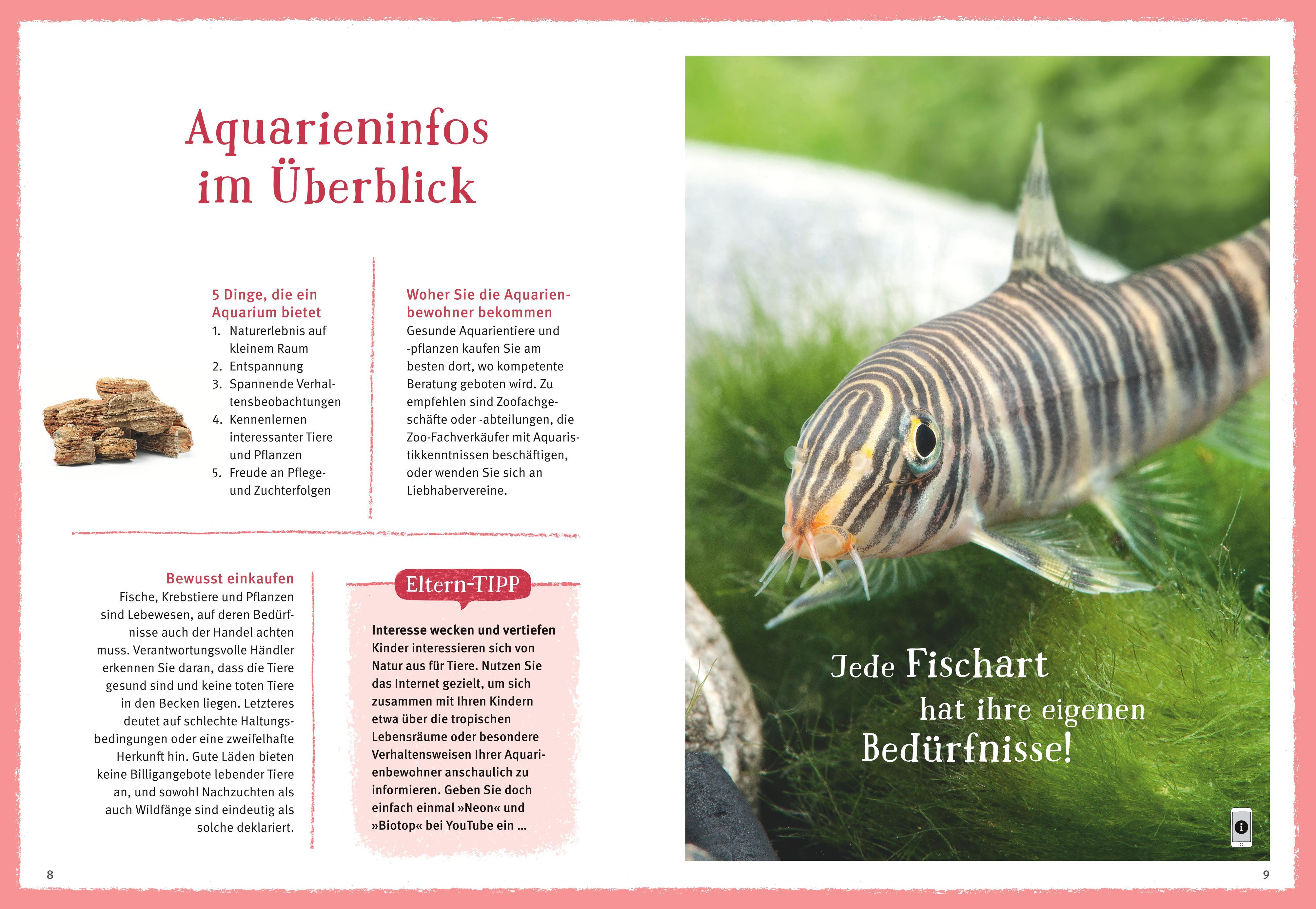 Beispielinhalt (Bild) Faszinierendes Aquarium