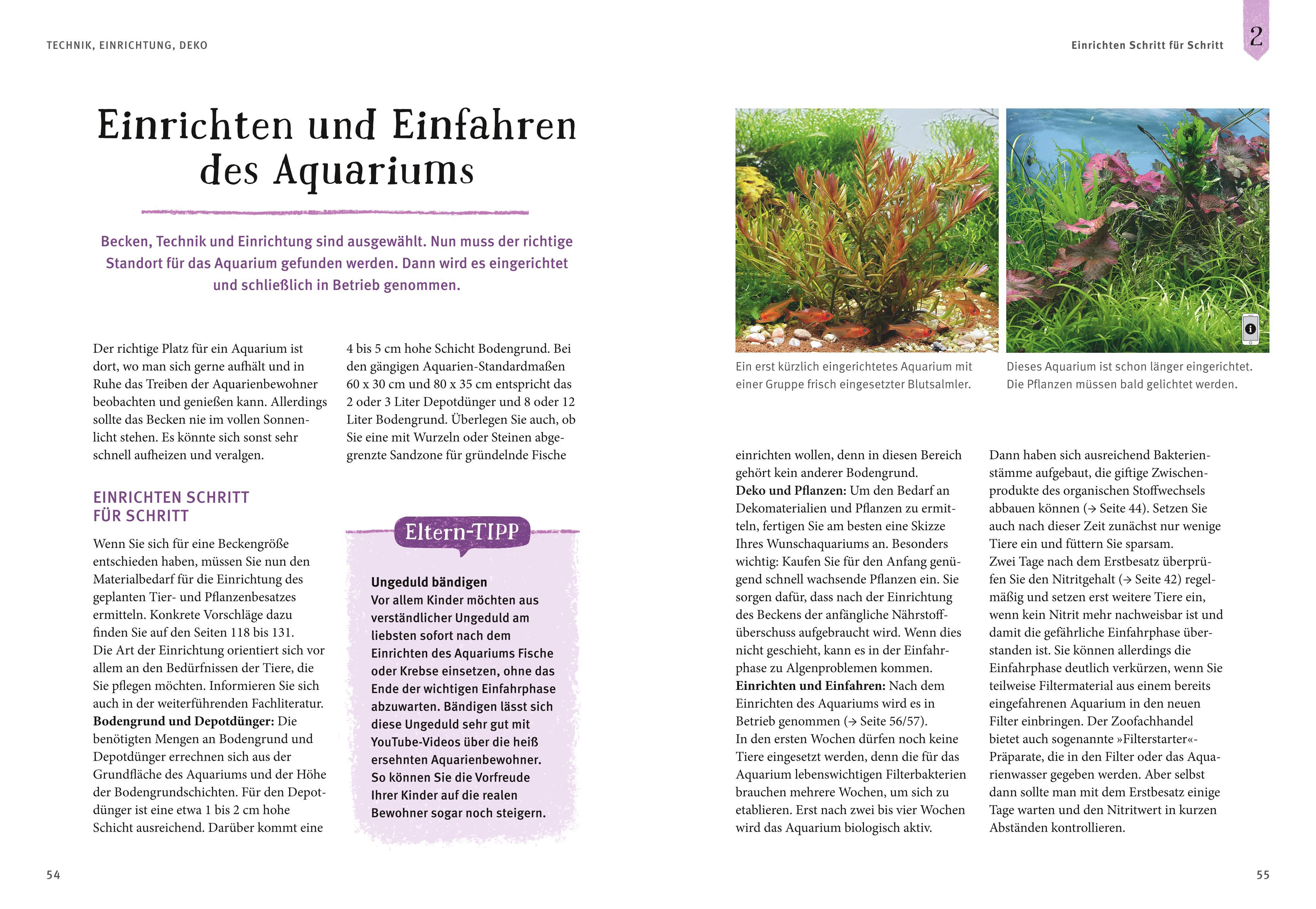 Beispielinhalt (Bild) Faszinierendes Aquarium
