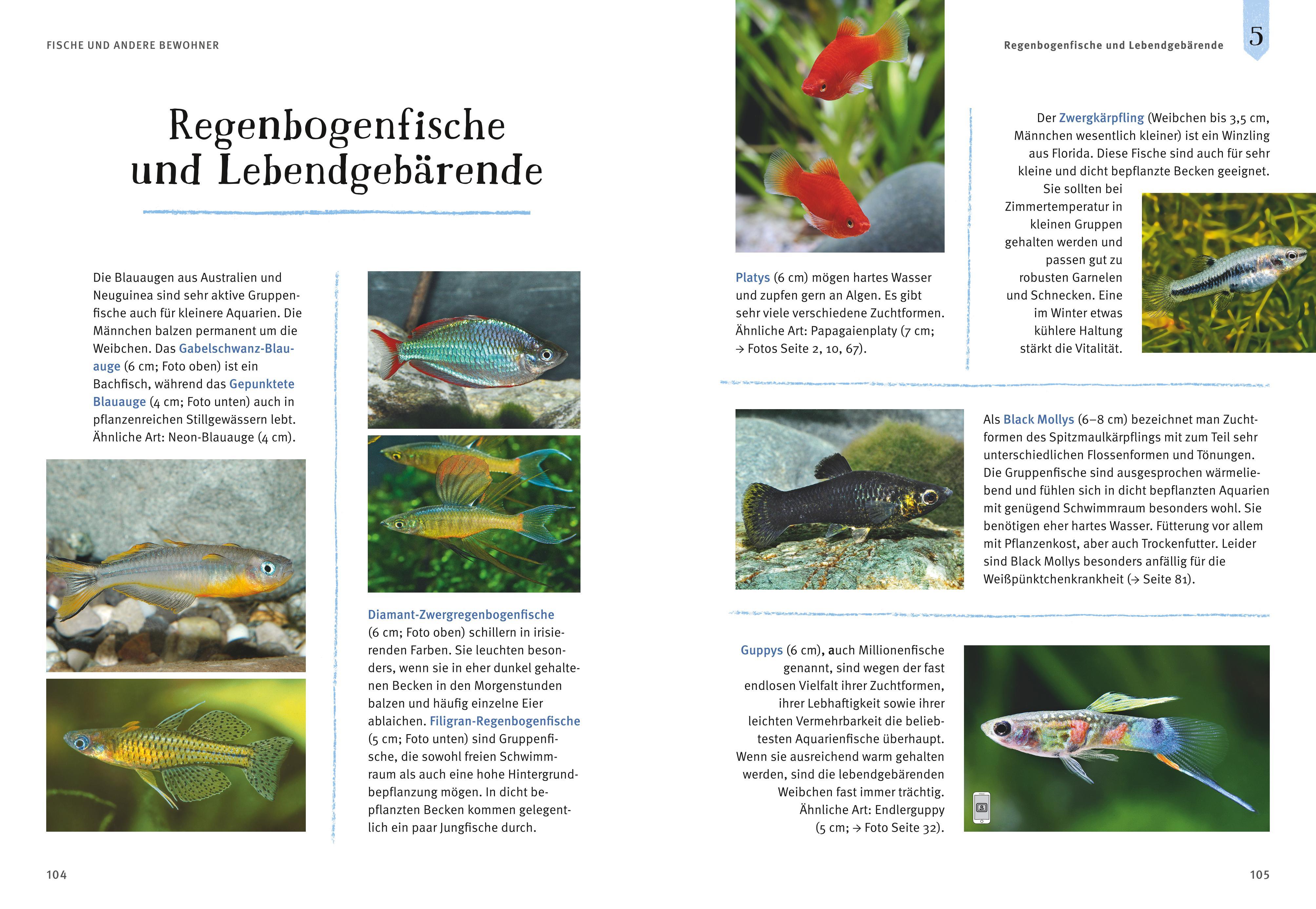 Beispielinhalt (Bild) Faszinierendes Aquarium
