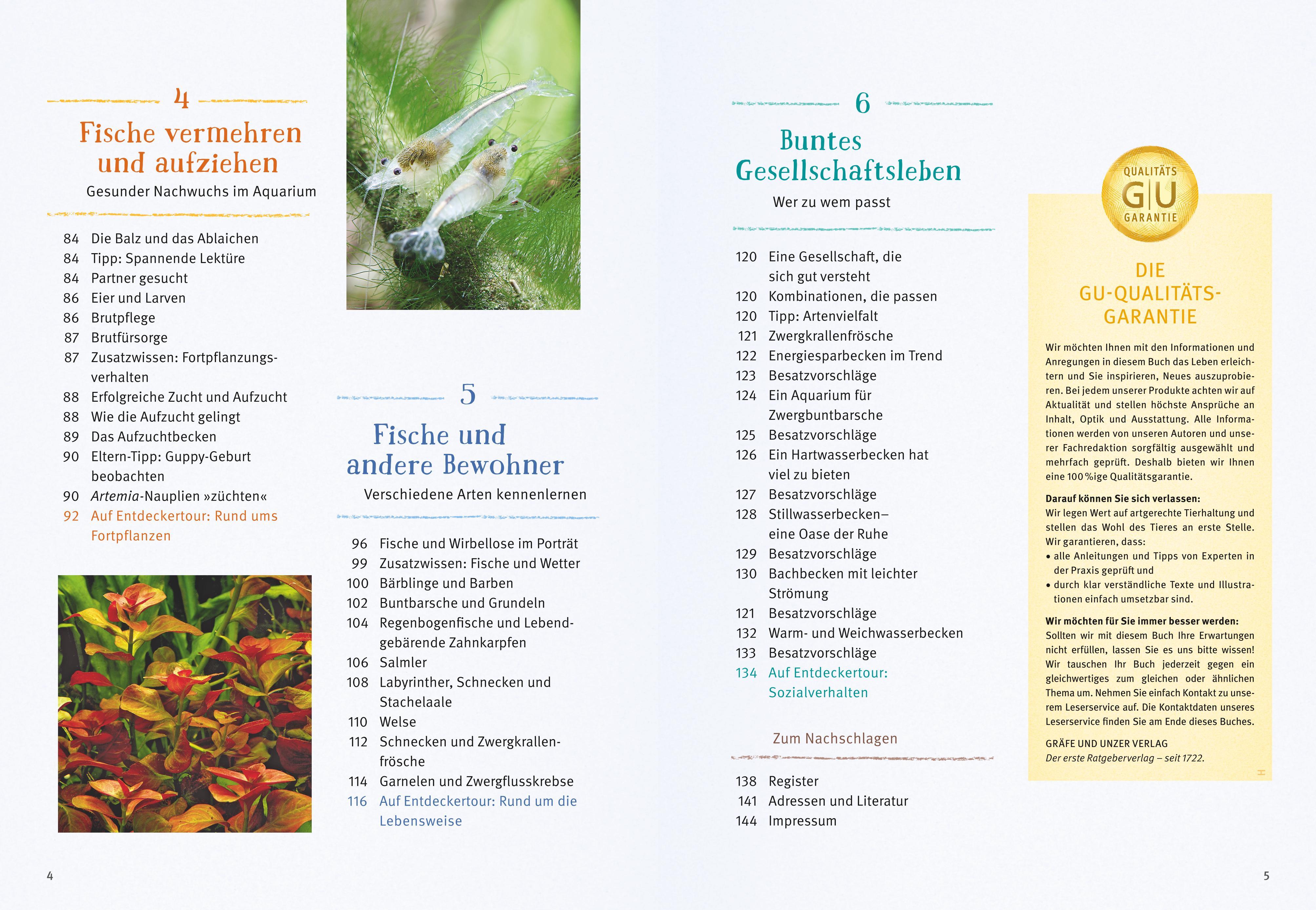 Beispielinhalt (Bild) Faszinierendes Aquarium
