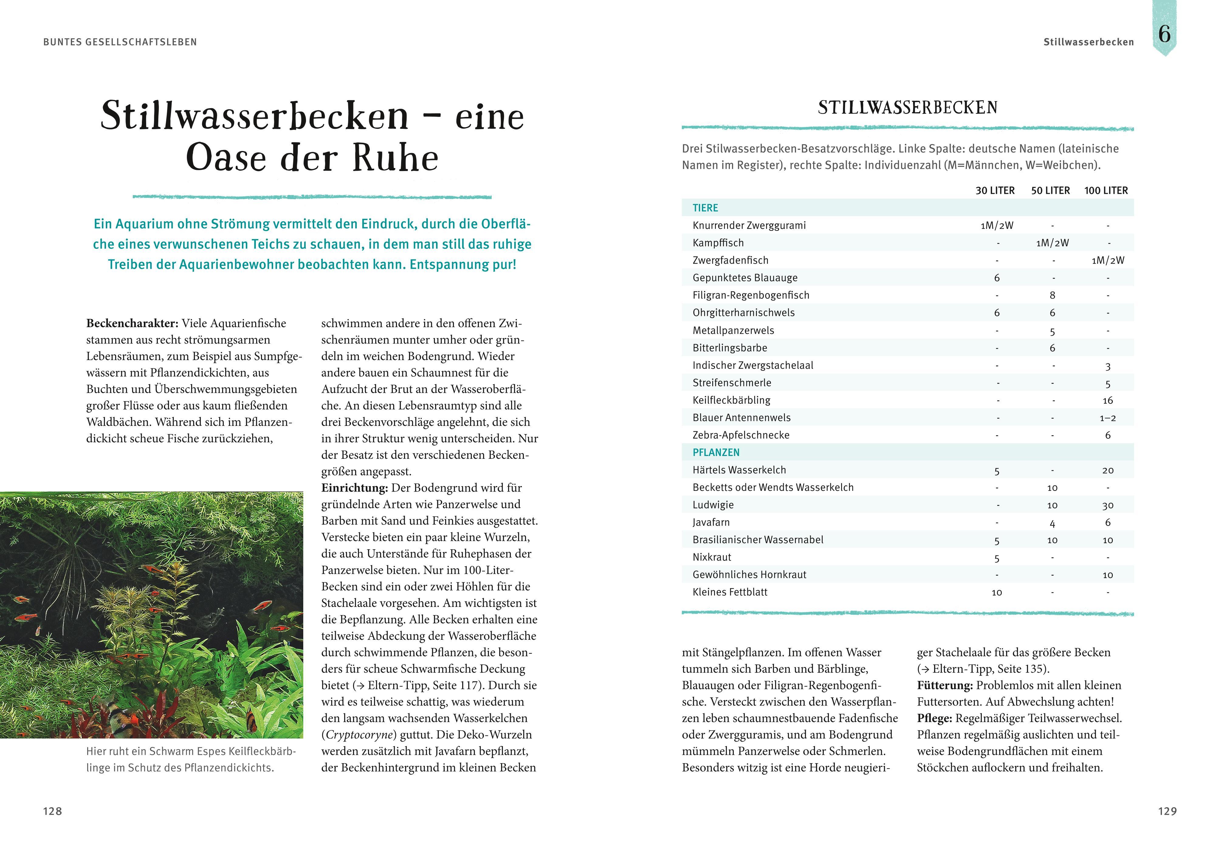 Beispielinhalt (Bild) Faszinierendes Aquarium