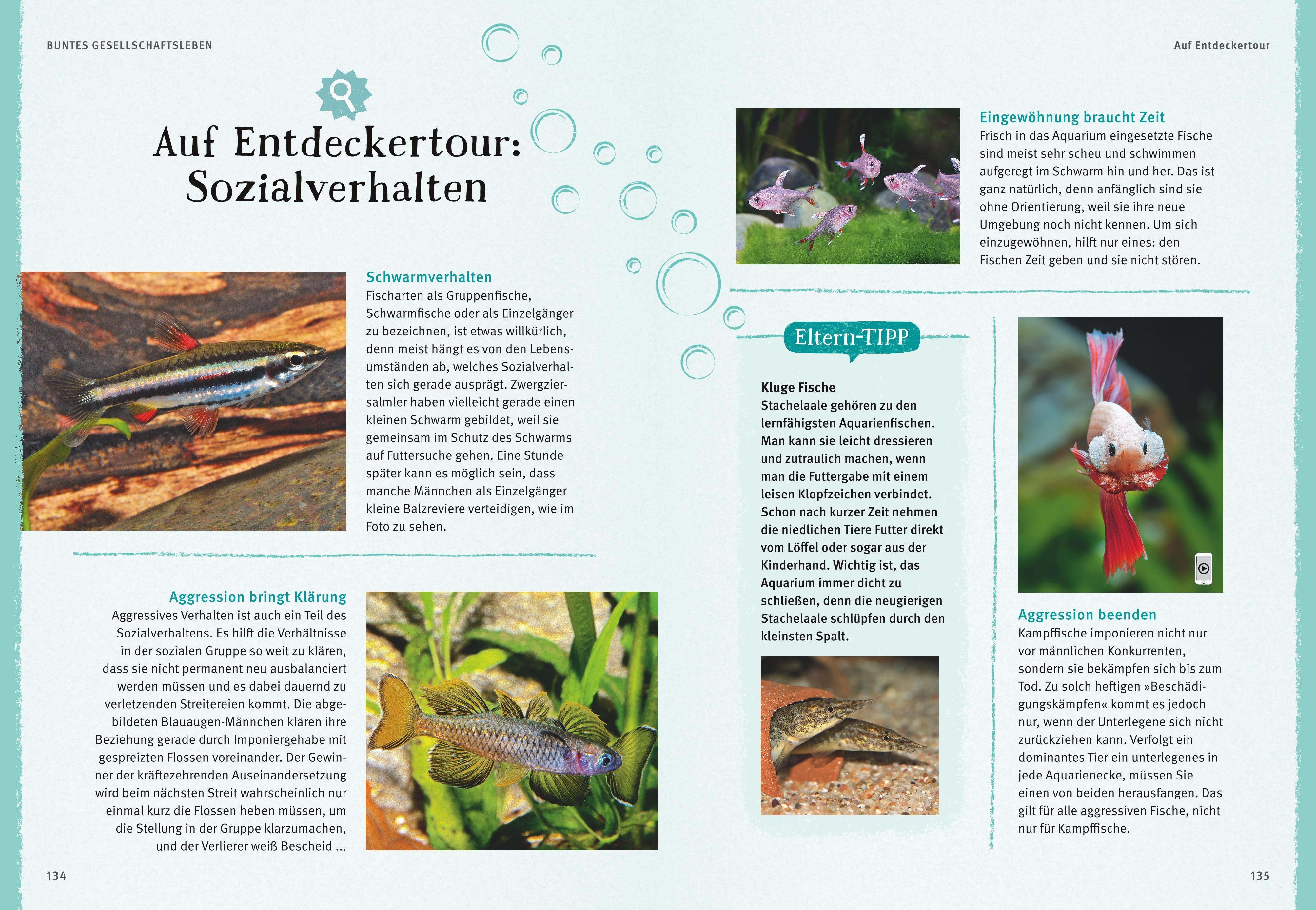 Beispielinhalt (Bild) Faszinierendes Aquarium