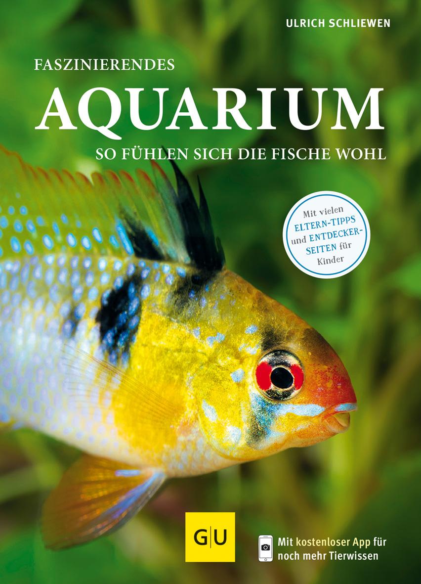 Vorderes Coverbild Faszinierendes Aquarium