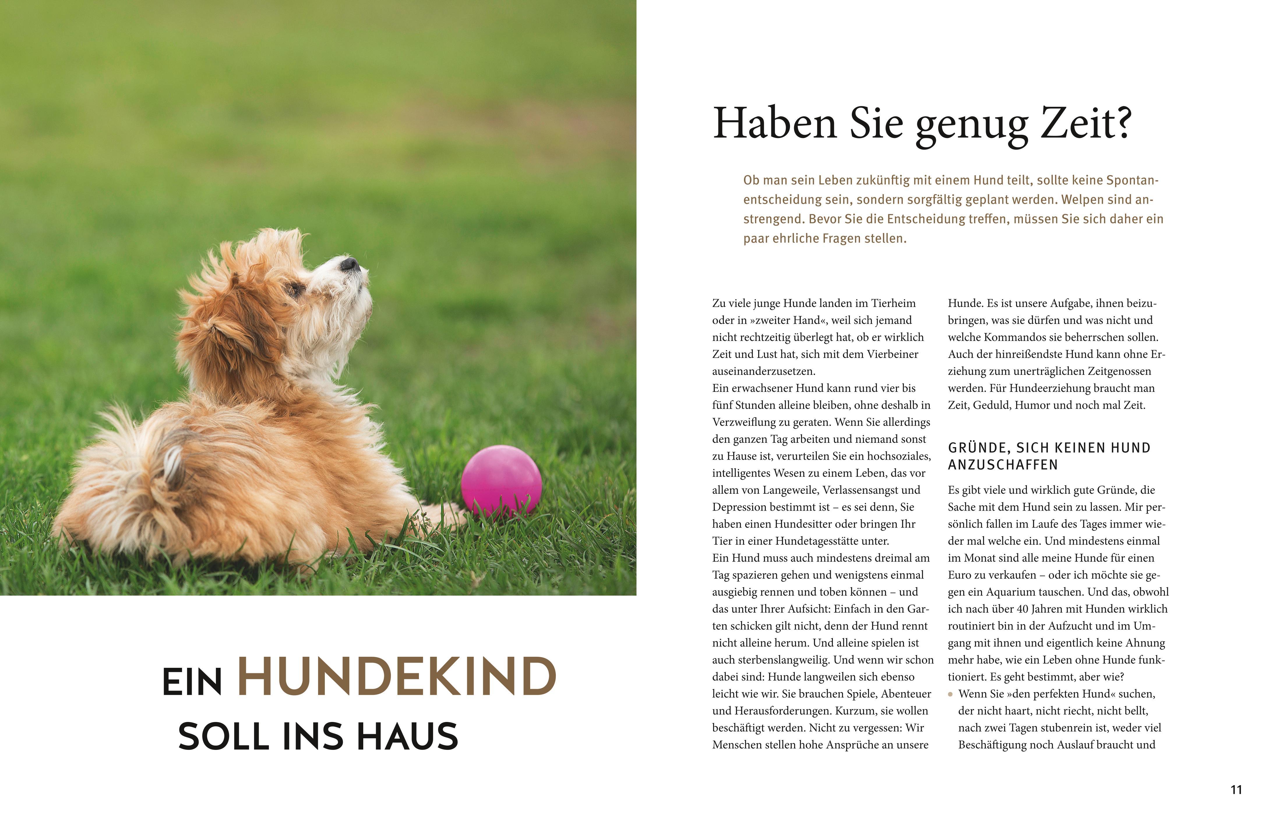 Beispielinhalt (Bild) Welpen-Praxisbuch