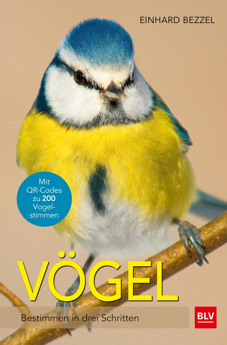 Vorderes Coverbild Vögel
