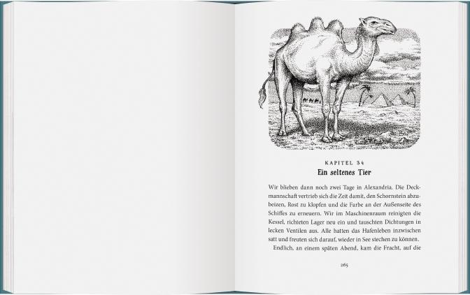 Beispielinhalt (Bild) Sally Jones - Mord ohne Leiche