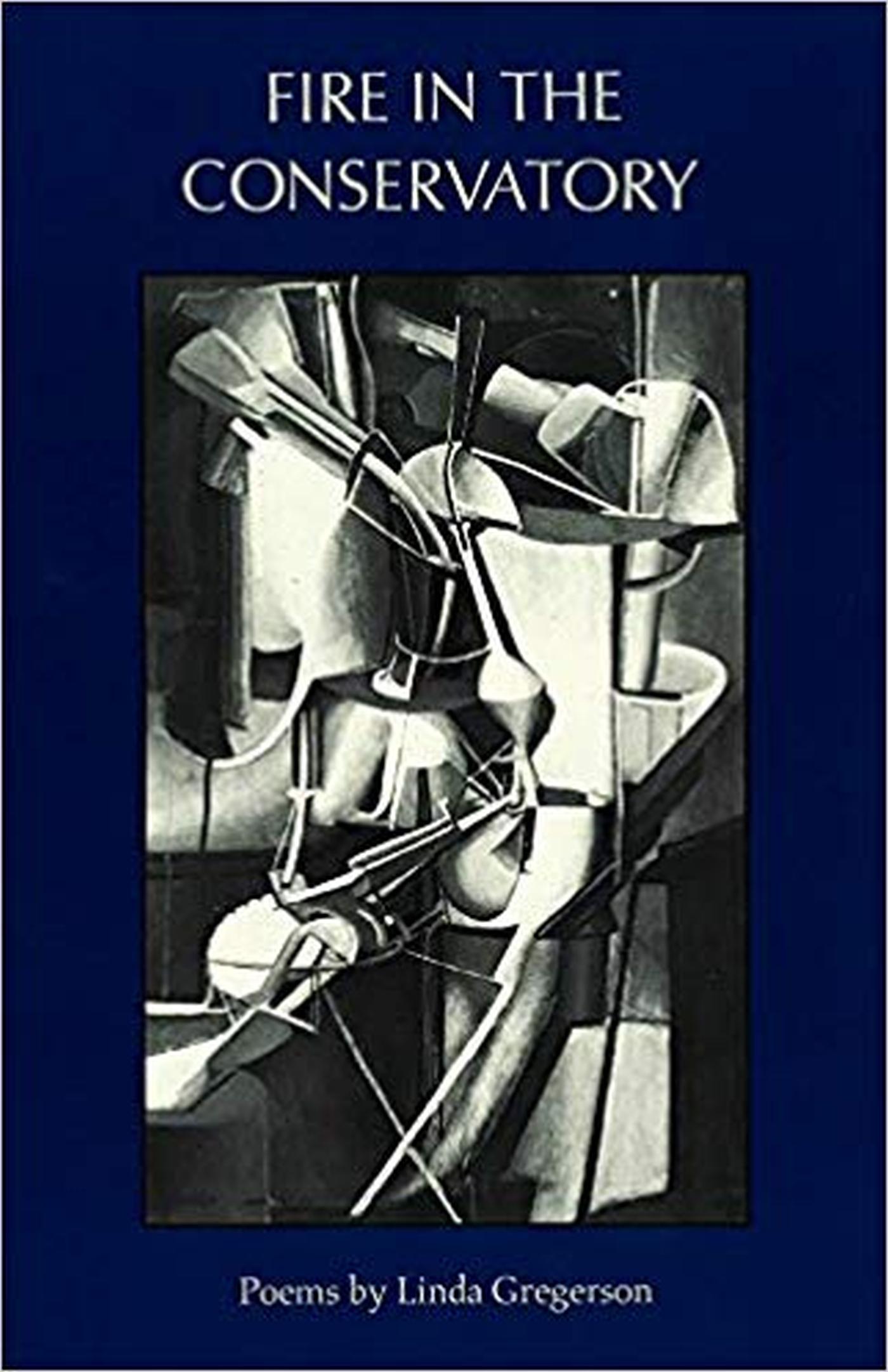 Vorderes Coverbild Fire in the Conservatory