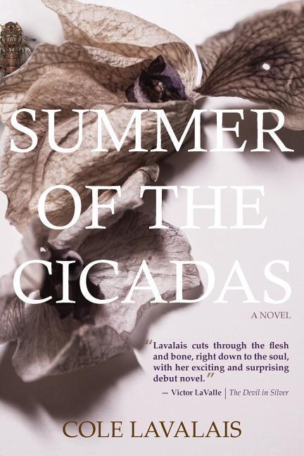 Vorderes Coverbild Summer of the Cicadas