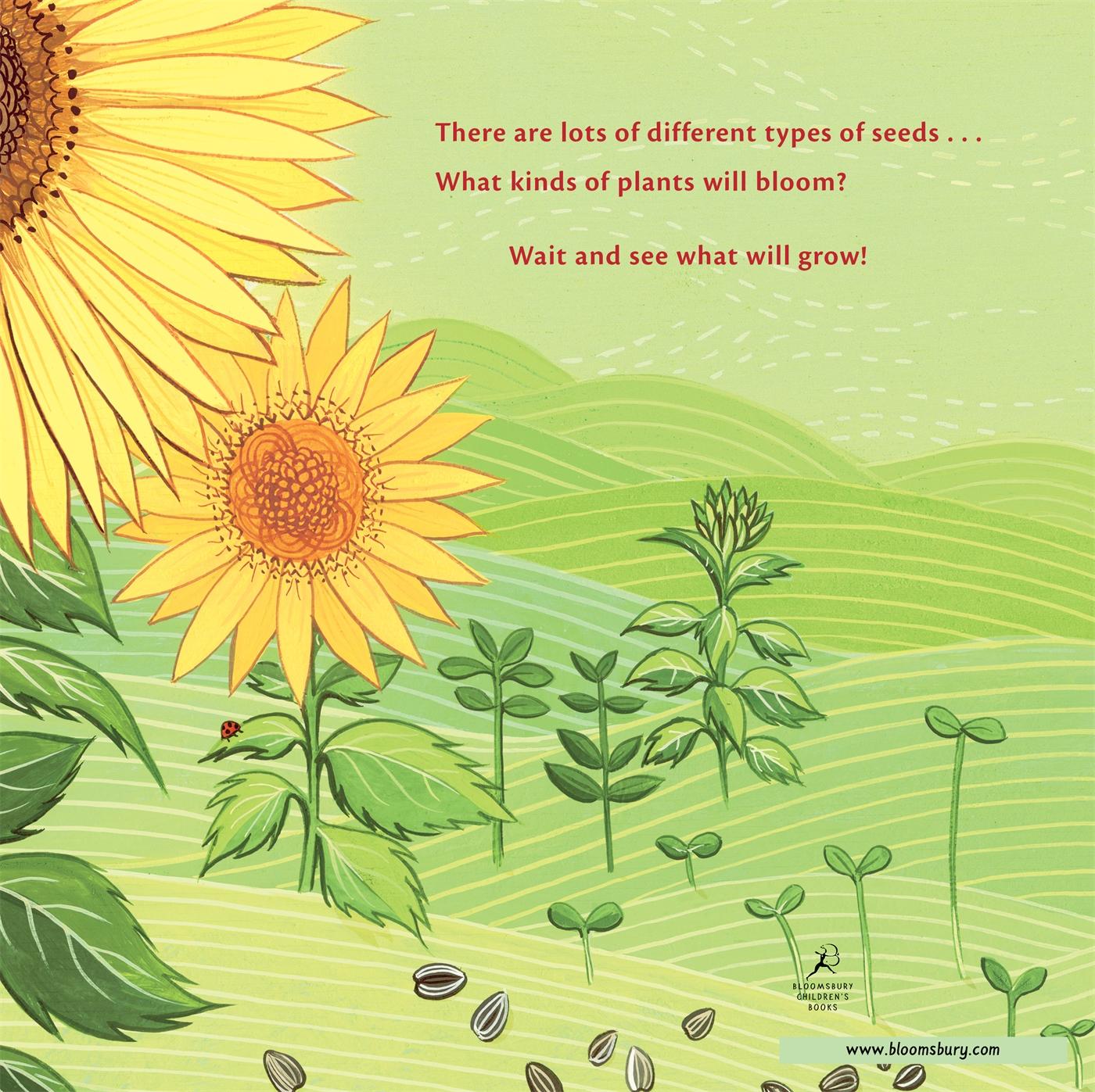 Rückseitencover What Will Grow?