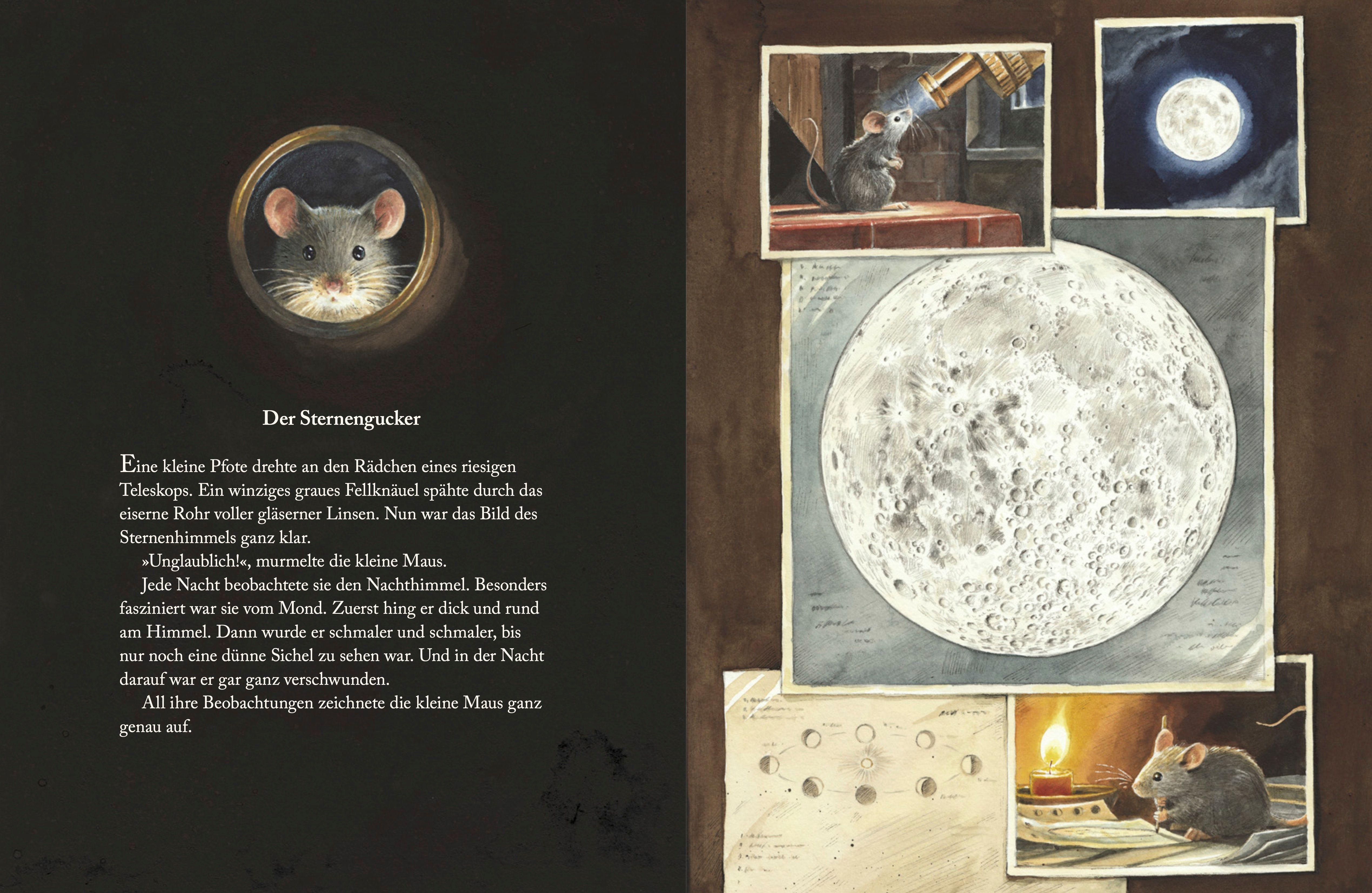 Beispielinhalt (Bild) Armstrong