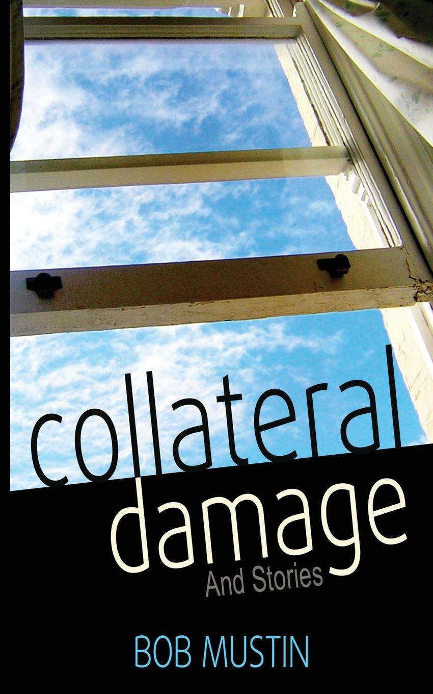 Vorderes Coverbild Collateral Damage and Stories