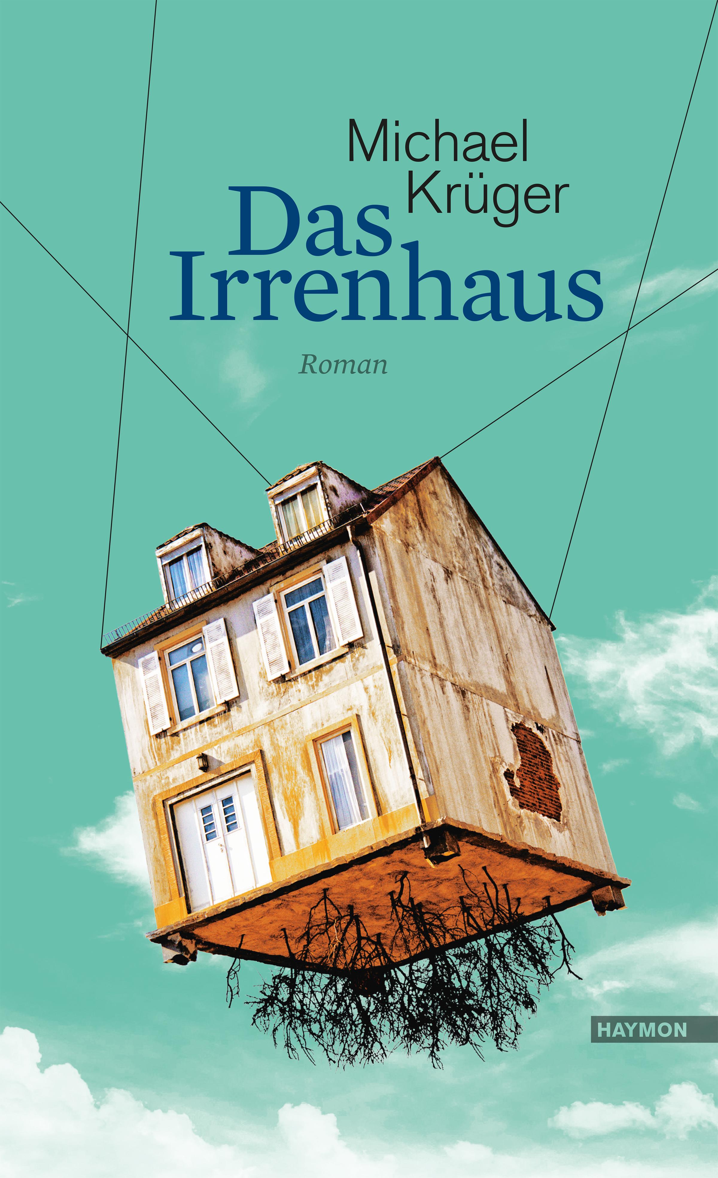 Vorderes Coverbild Das Irrenhaus