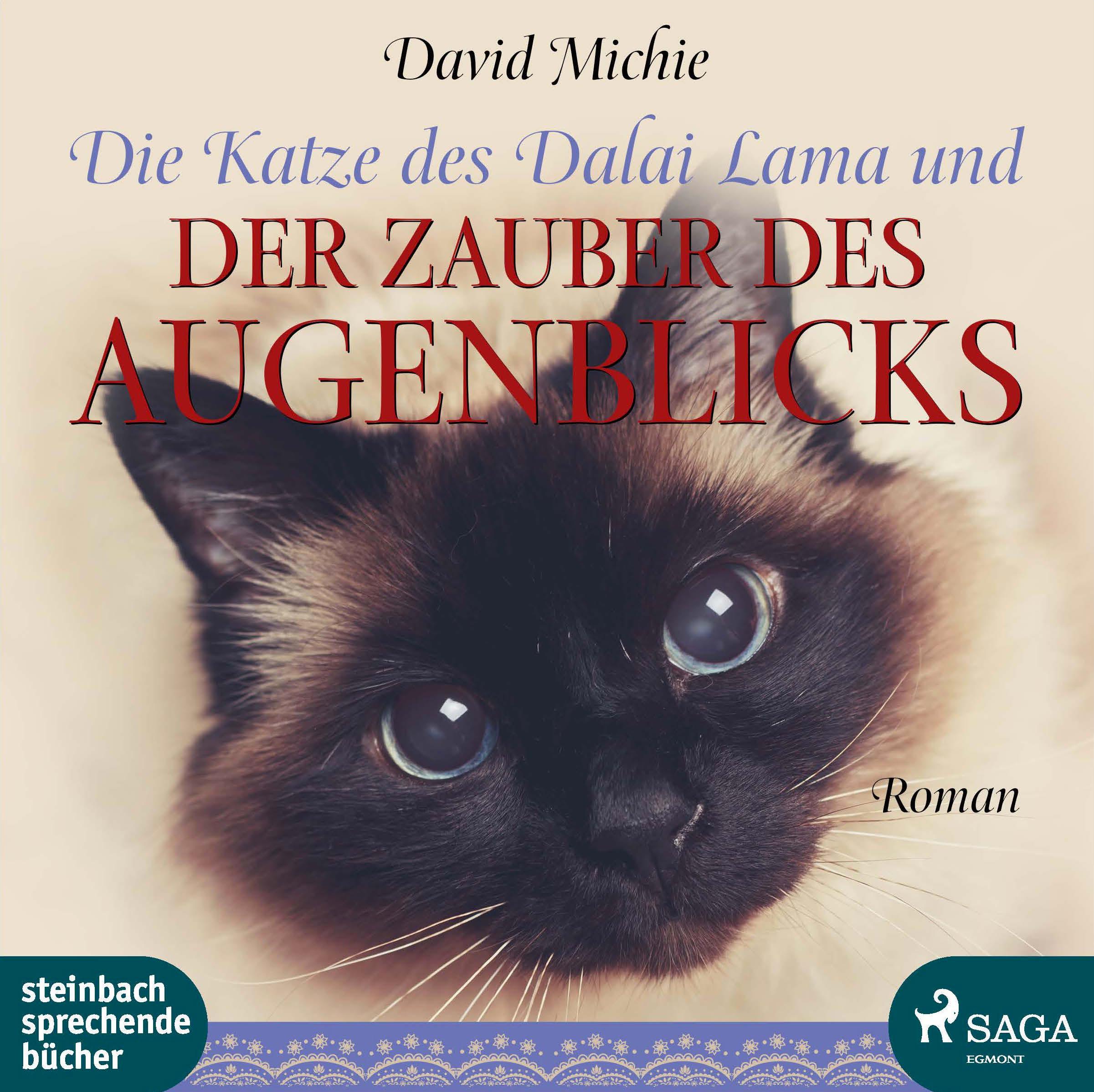 Vorderes Coverbild Die Katze des Dalai Lama und der Zauber des Augenblicks