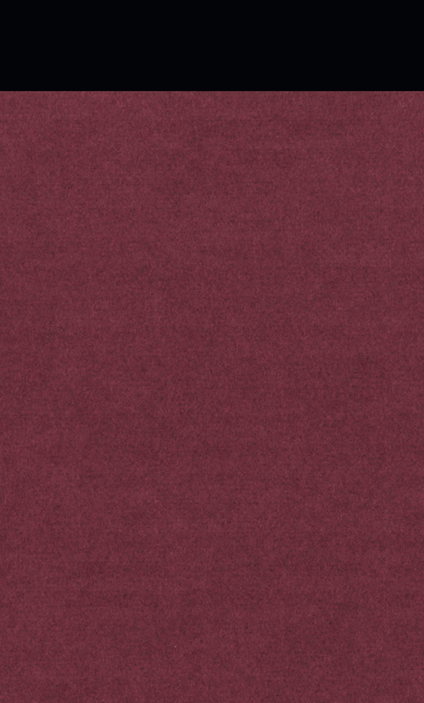 Rückseitencover Vorlesungen über Don Quijote