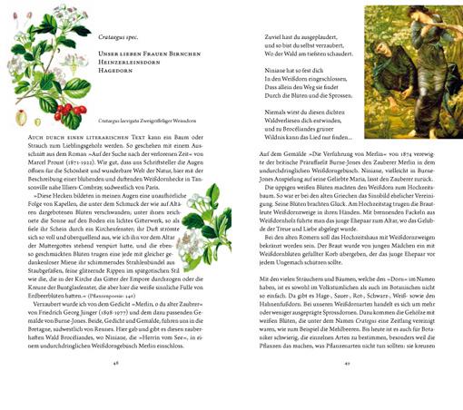 Beispielinhalt (Bild) Frau Haselin und Drecksäck