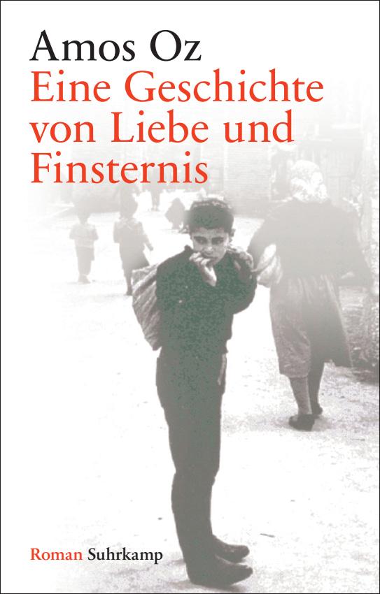 Vorderes Coverbild Eine Geschichte von Liebe und Finsternis