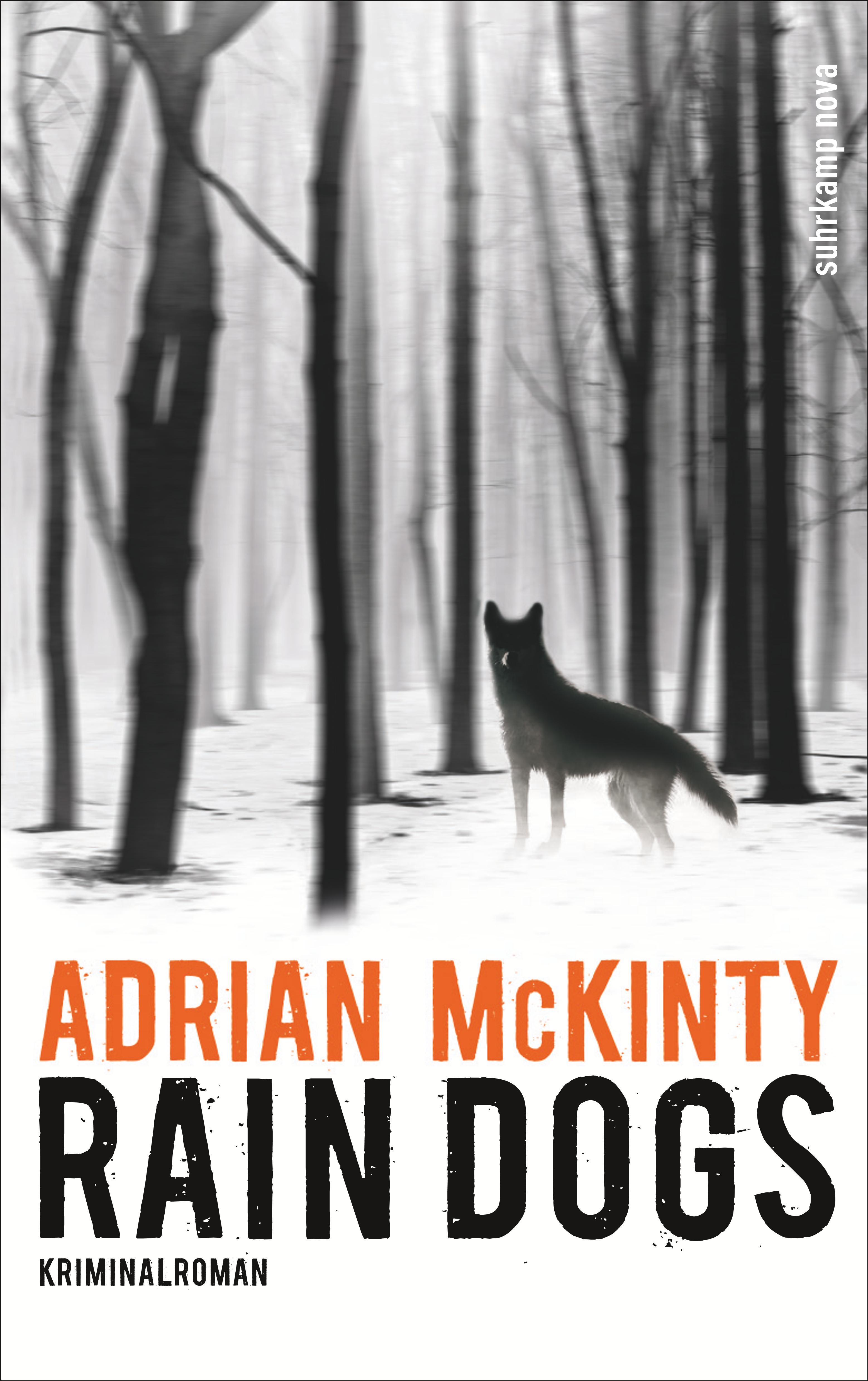 Vorderes Coverbild Rain Dogs