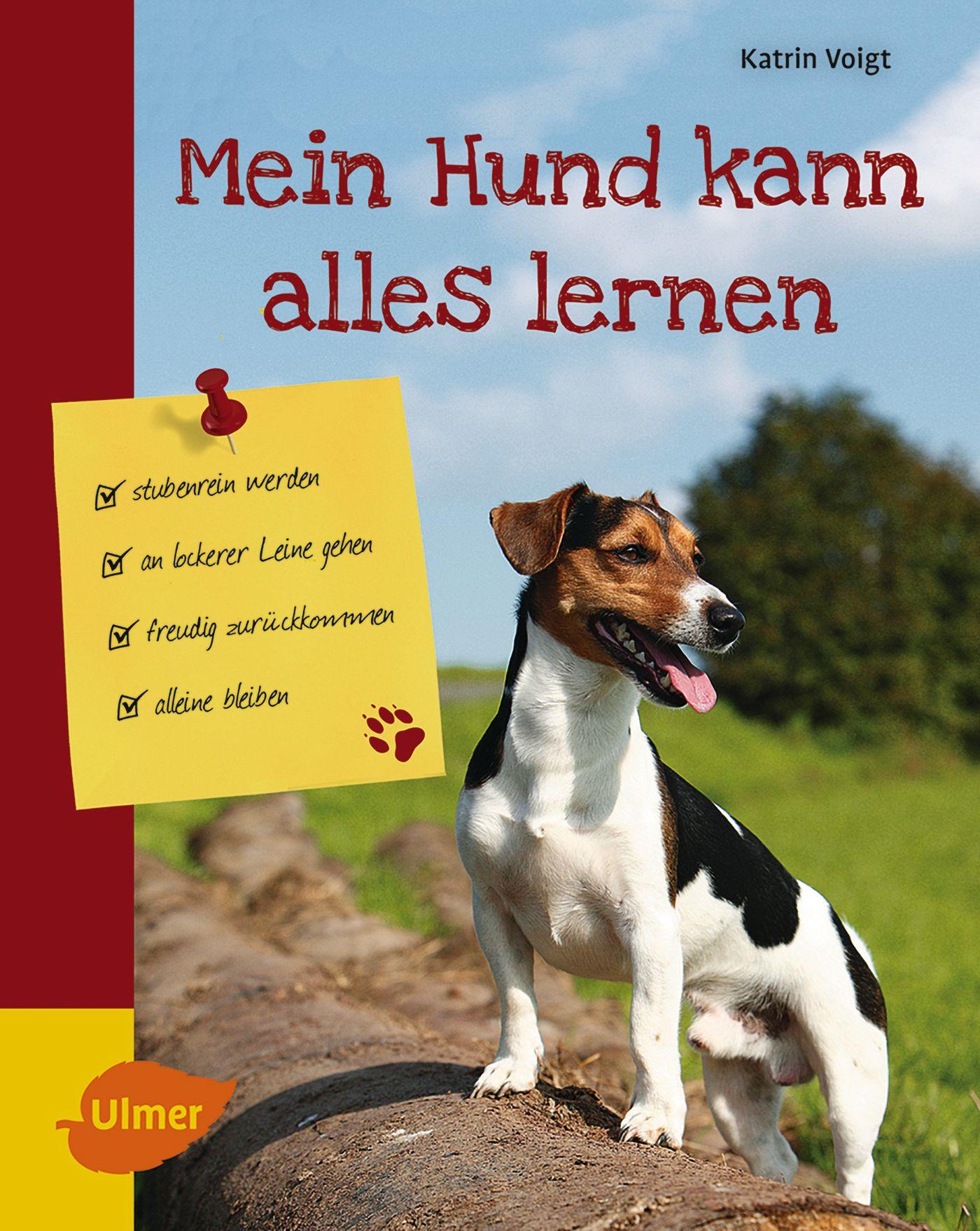Vorderes Coverbild Mein Hund kann alles lernen