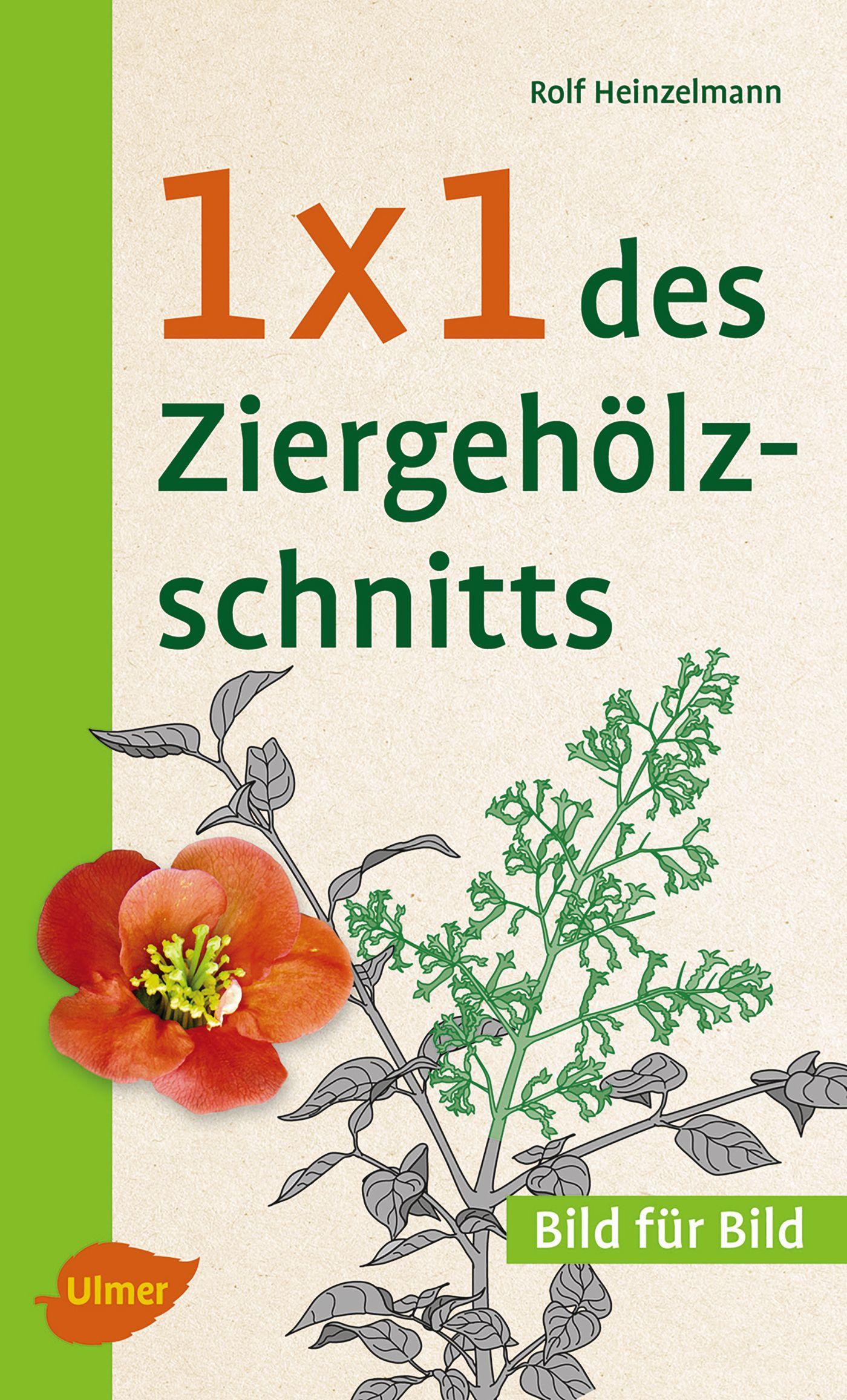 Vorderes Coverbild 1 x 1 des Ziergehölzschnitts