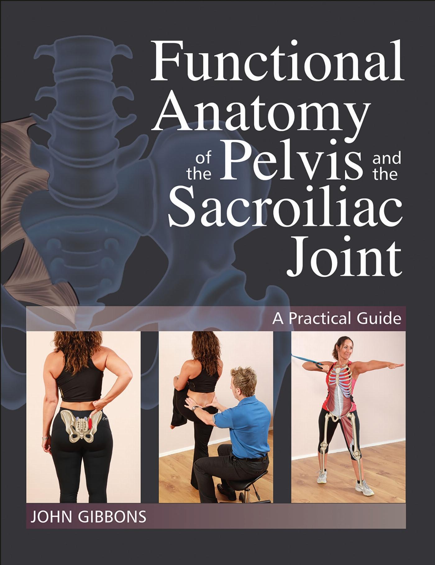 Vorderes Coverbild Functional Anatomy of the Pelvis and the Sacroiliac Joint