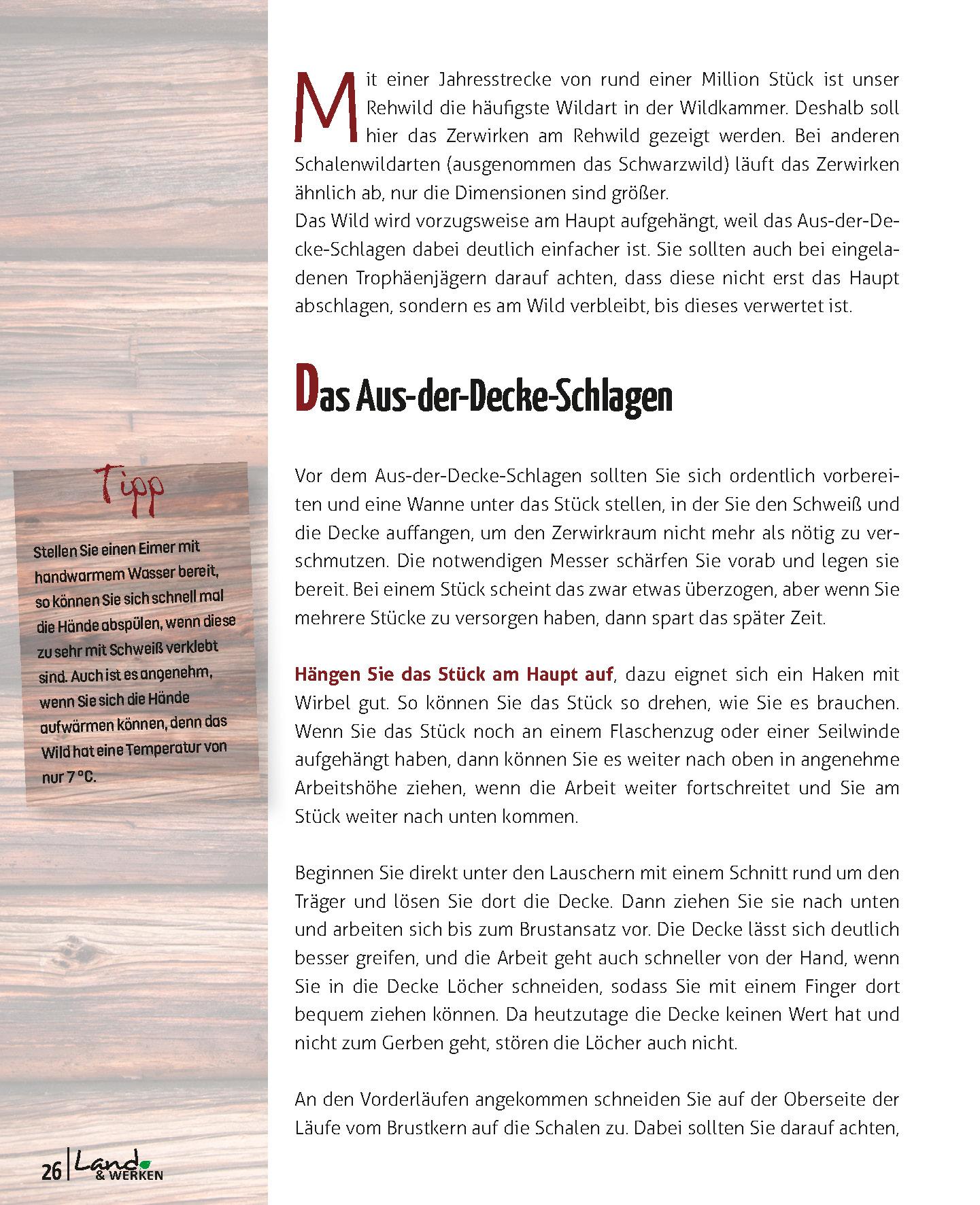 Beispielinhalt (Bild) Wildverwertung praktisch