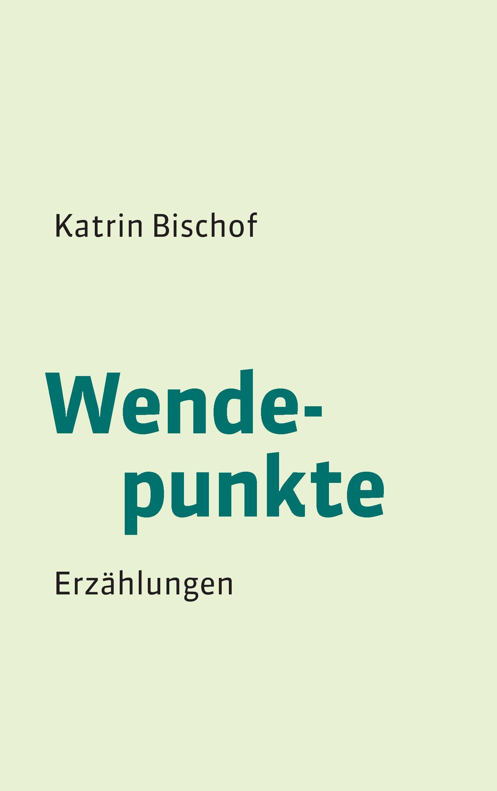 Vorderes Coverbild Wendepunkte