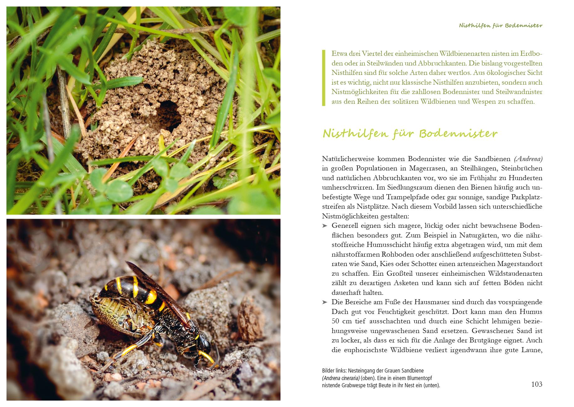 Beispielinhalt (Bild) Fertig zum Einzug: Nisthilfen für Wildbienen