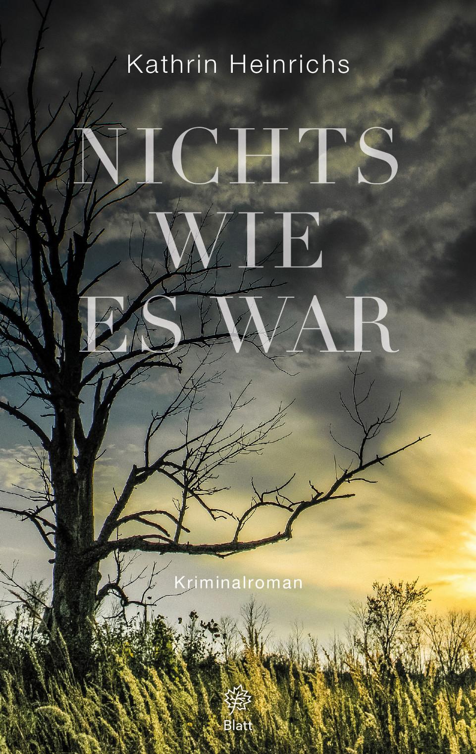 Vorderes Coverbild Nichts wie es war